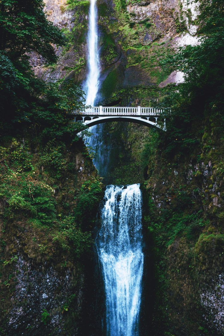 Cascata con ponte nel bosco, 748x1122 Full HD Verticale, Google Pixel