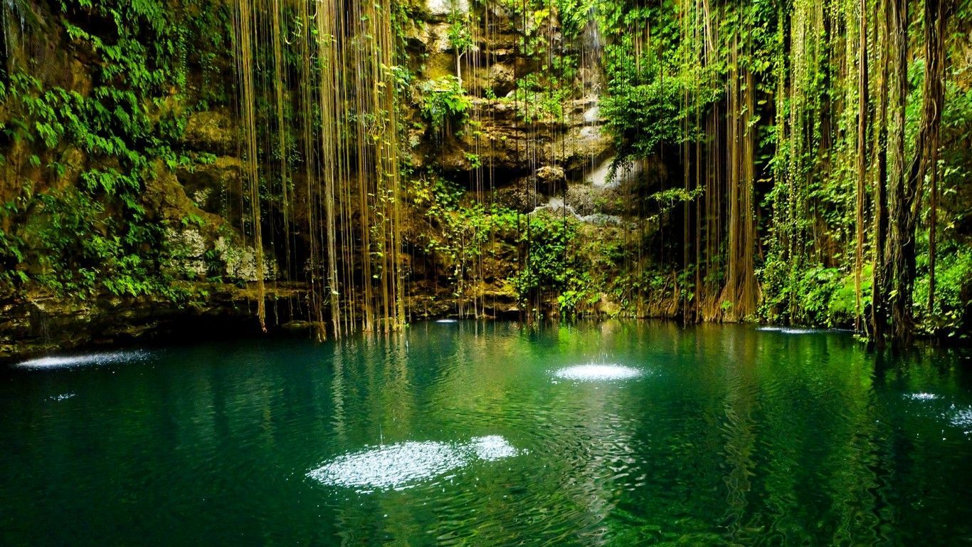 Cenote con radici pendenti, 1366x768 720p, PC