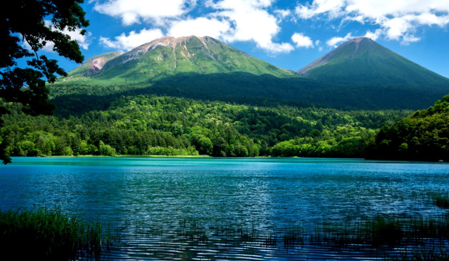 Lago montano con foresta verde, 1472x855 720p, PC
