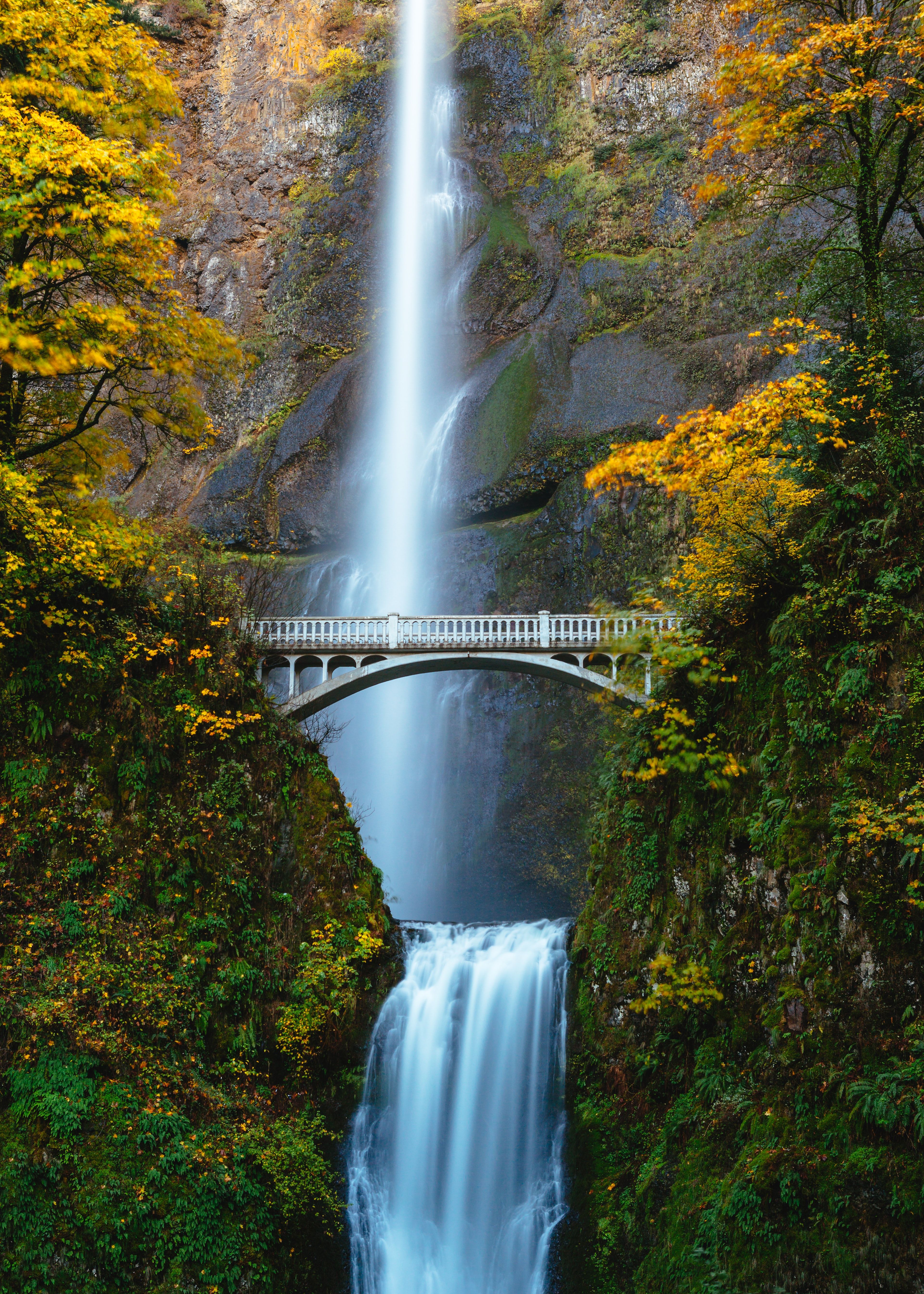 Cascata con ponte autunnale, 3840x5376 Verticale, Mobile