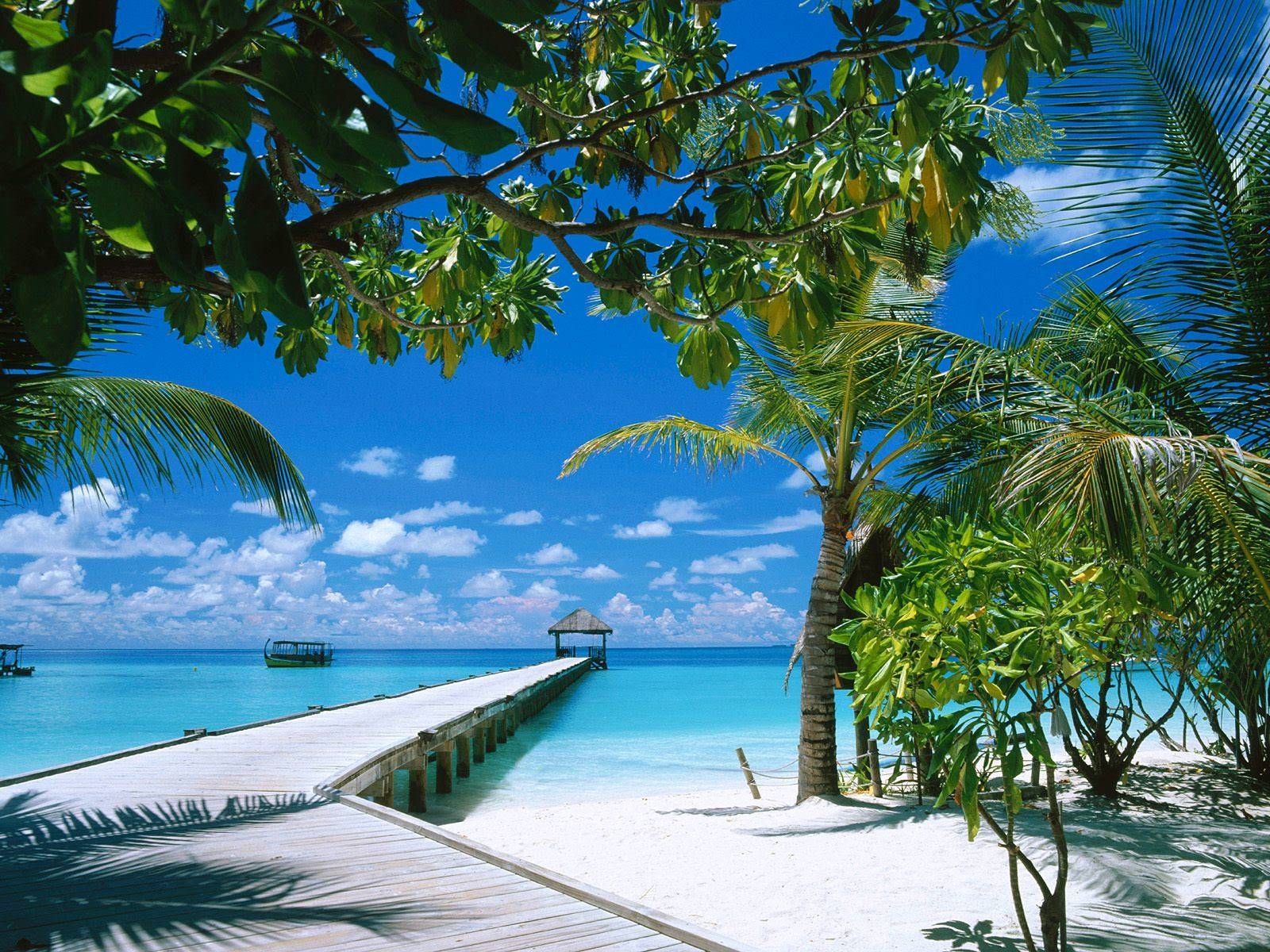Molo tropicale spiaggia mare, 1600x1200 HD, Laptop
