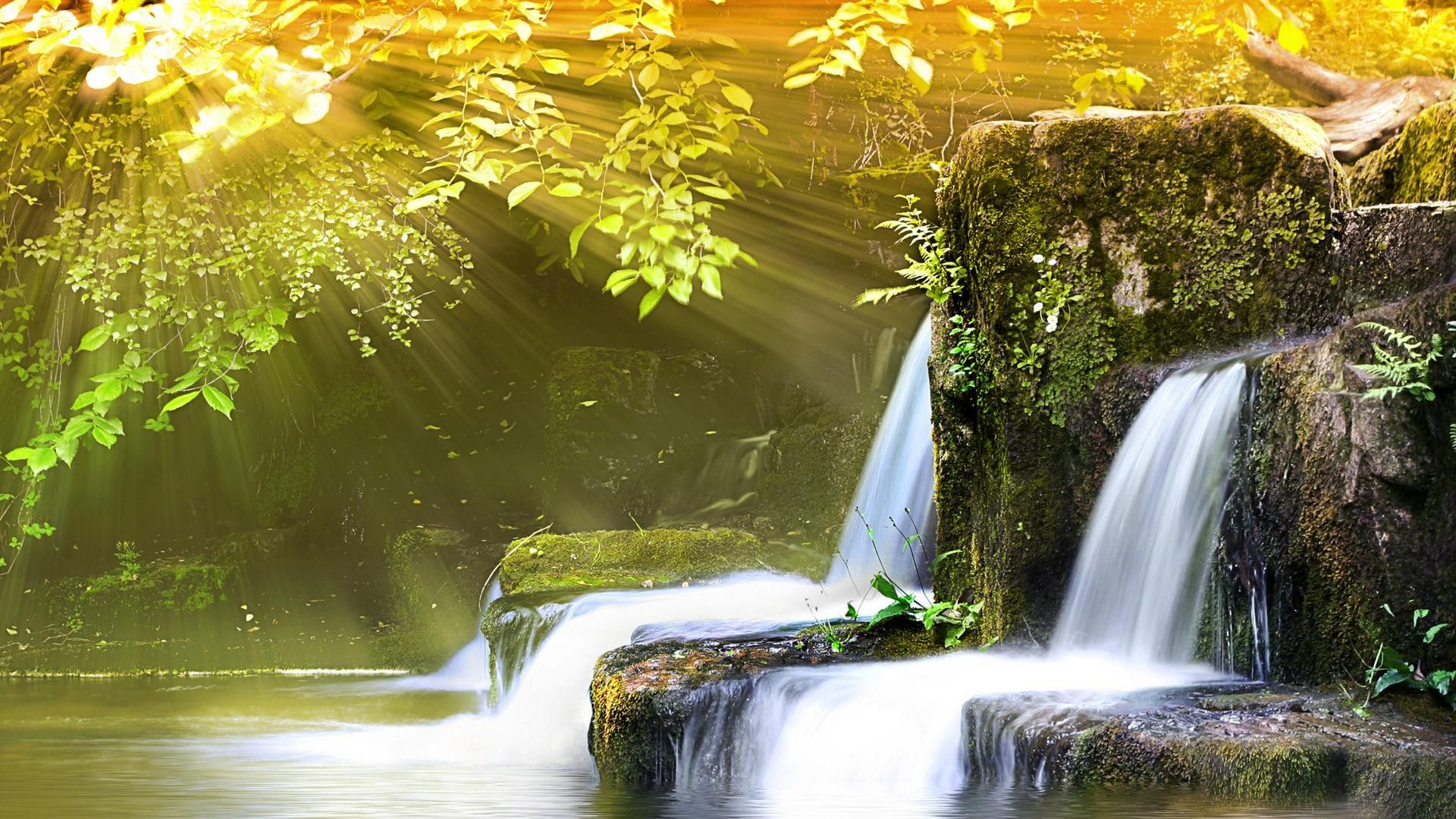 Cascata nella foresta soleggiata, 1920x1080 Full HD, PC Desktop