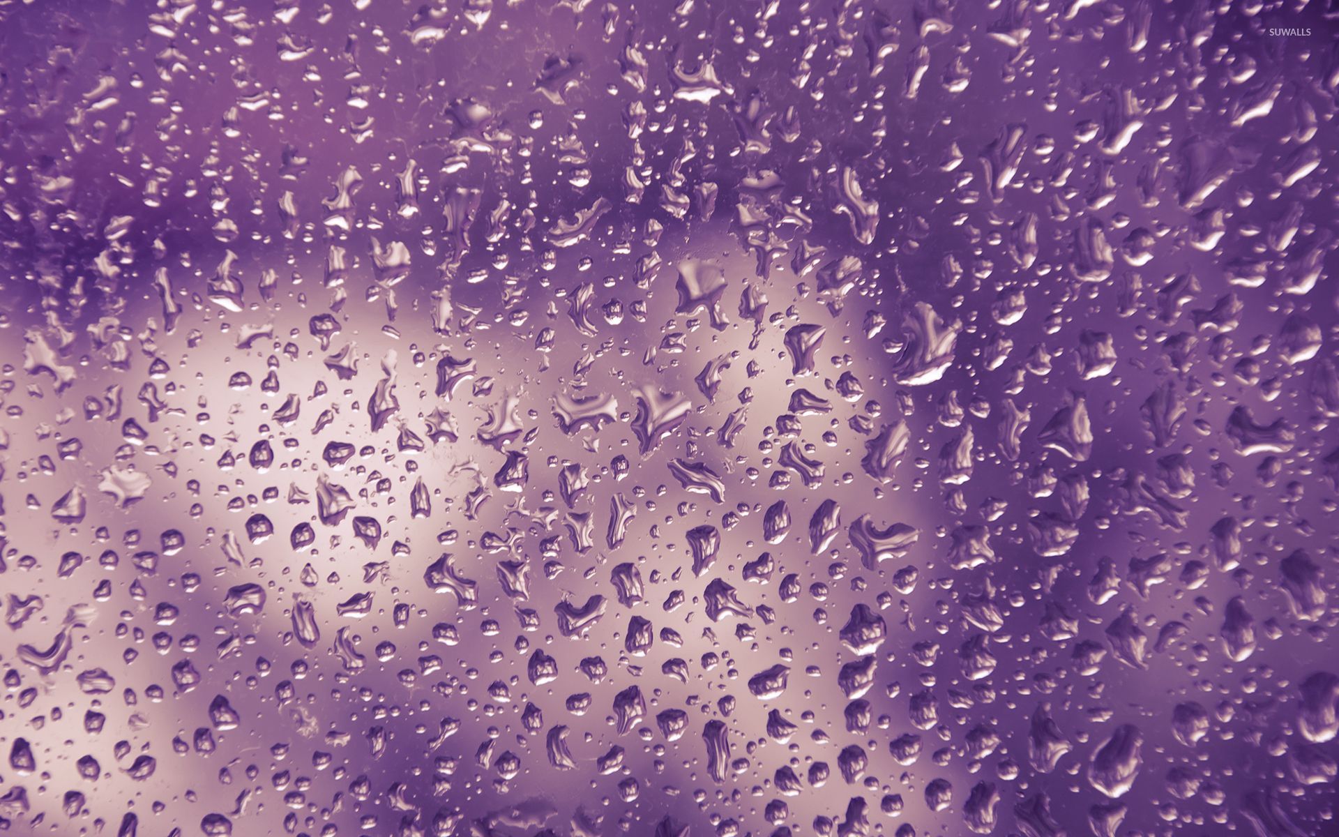 Gocce d'acqua su vetro viola, 1920x1200 Full HD+ WUXGA, Laptop