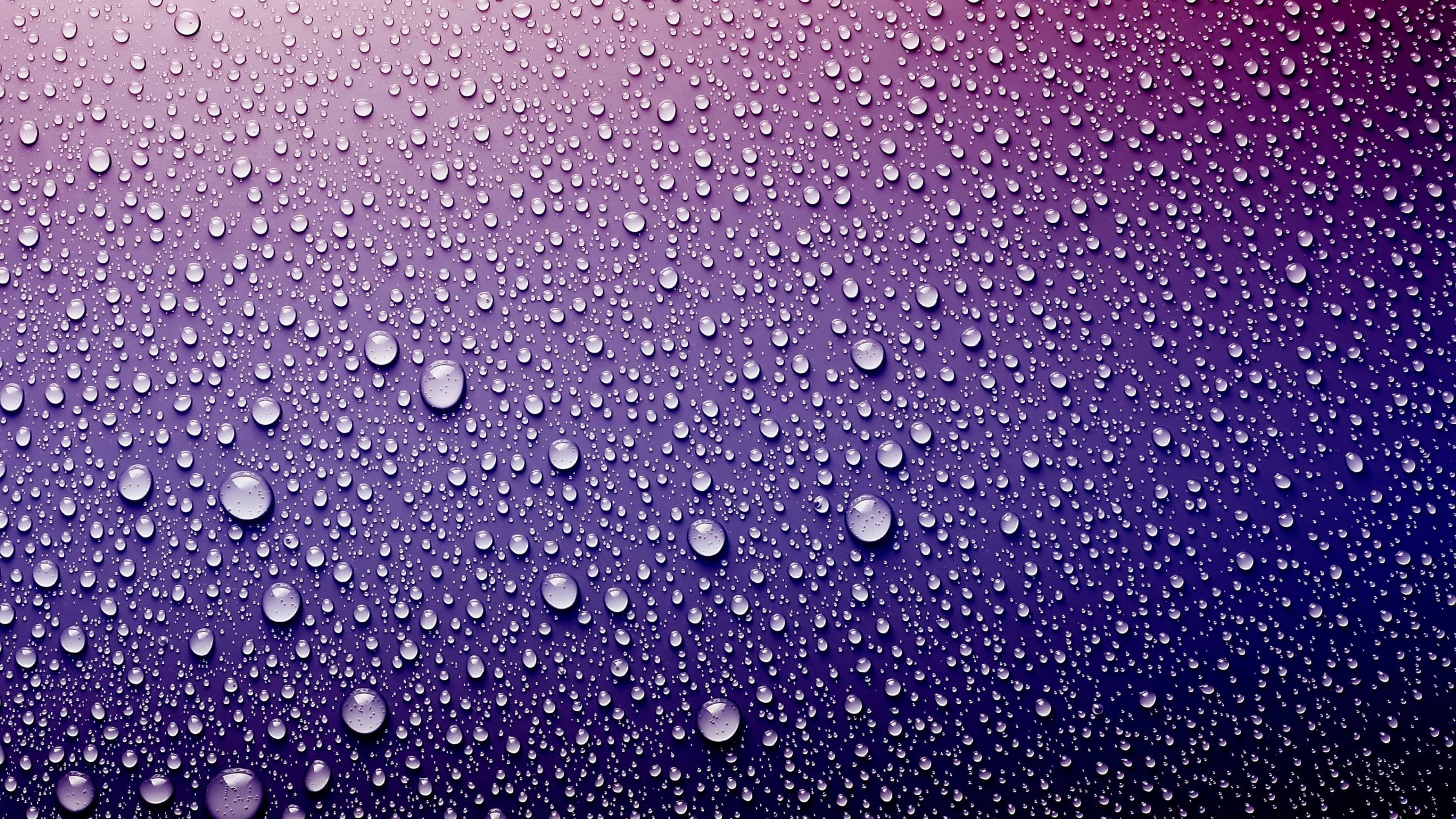 Gocce d'acqua su superficie viola, 3840x2160 4K, Monitor 4K