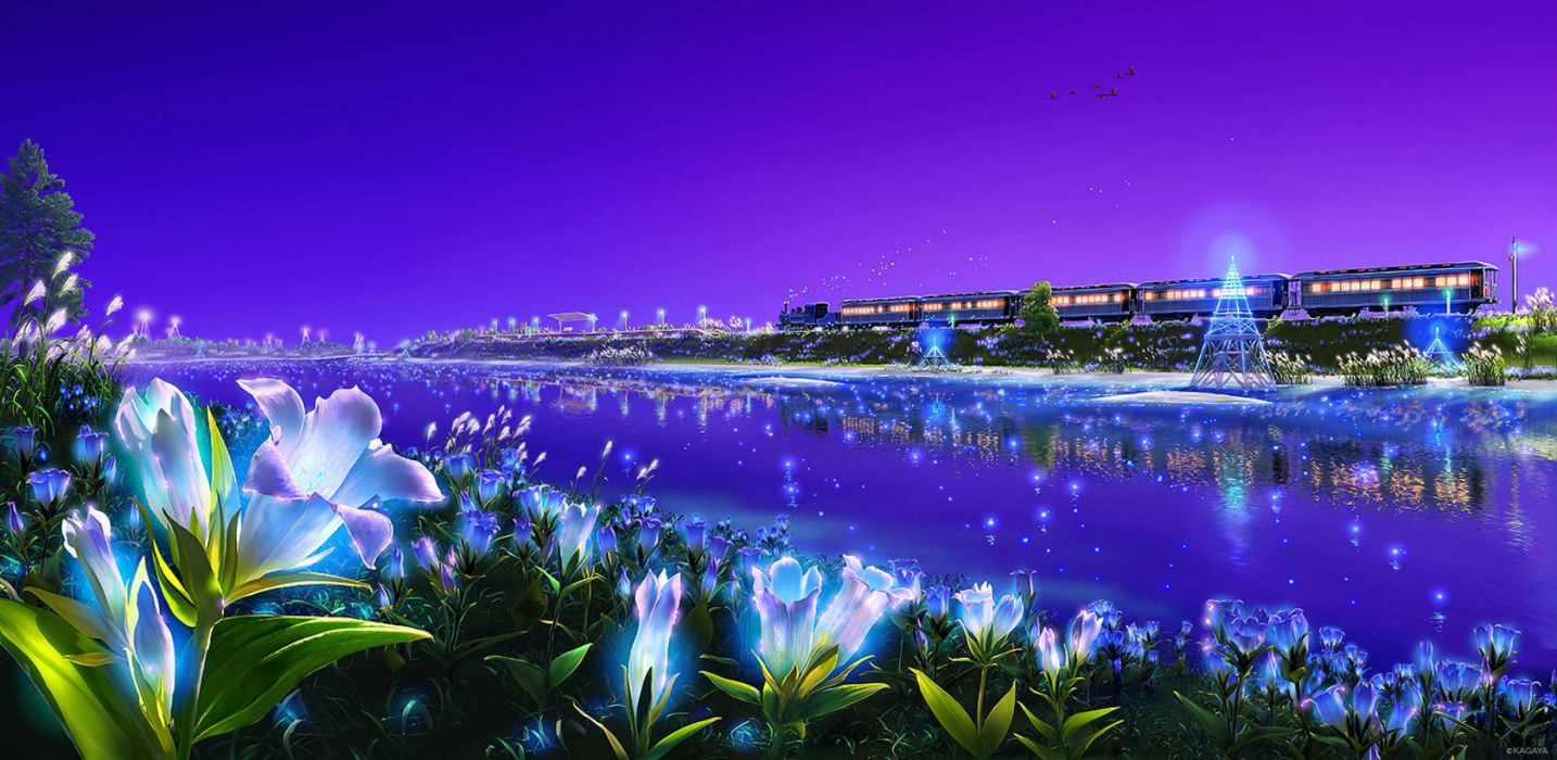 Fiori viola lungo fiume notturno, 1434x700 HD, Desktop