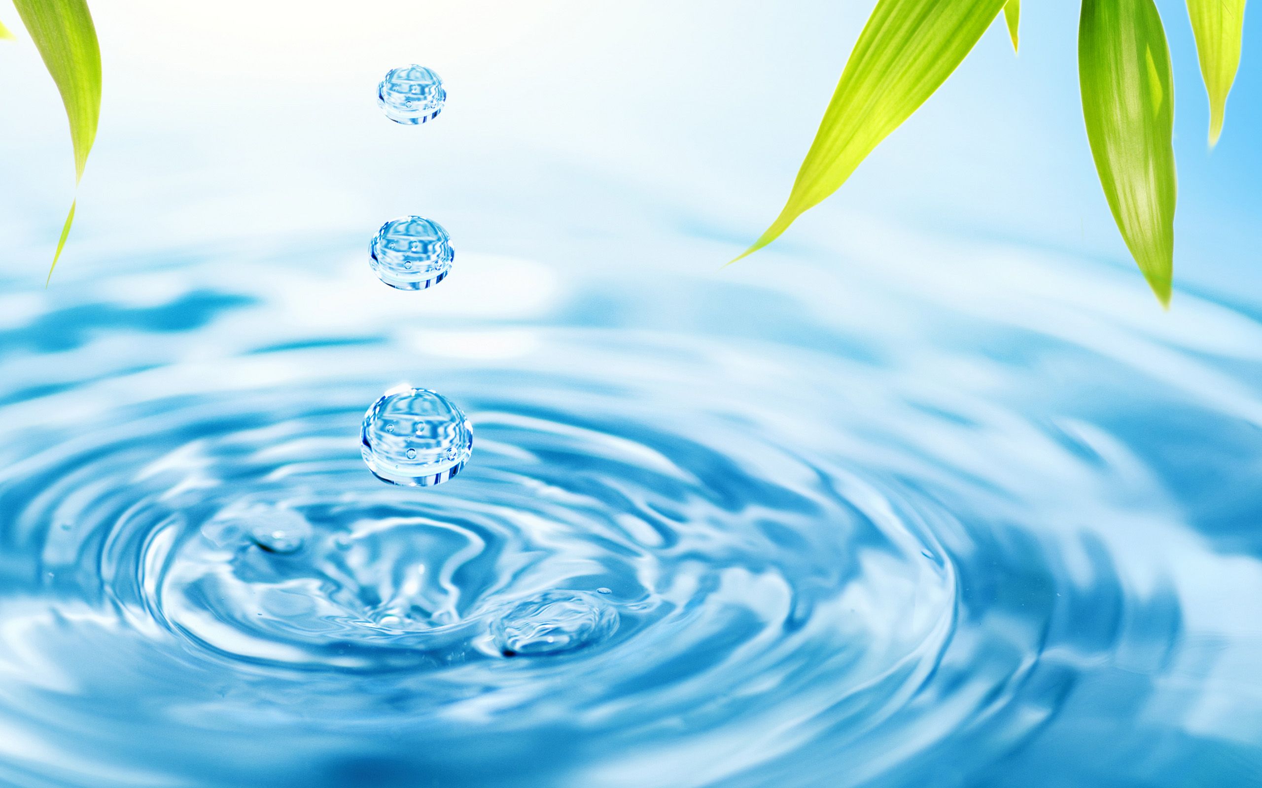 Goccia d'acqua con increspature, 2560x1600 2K+, Laptop