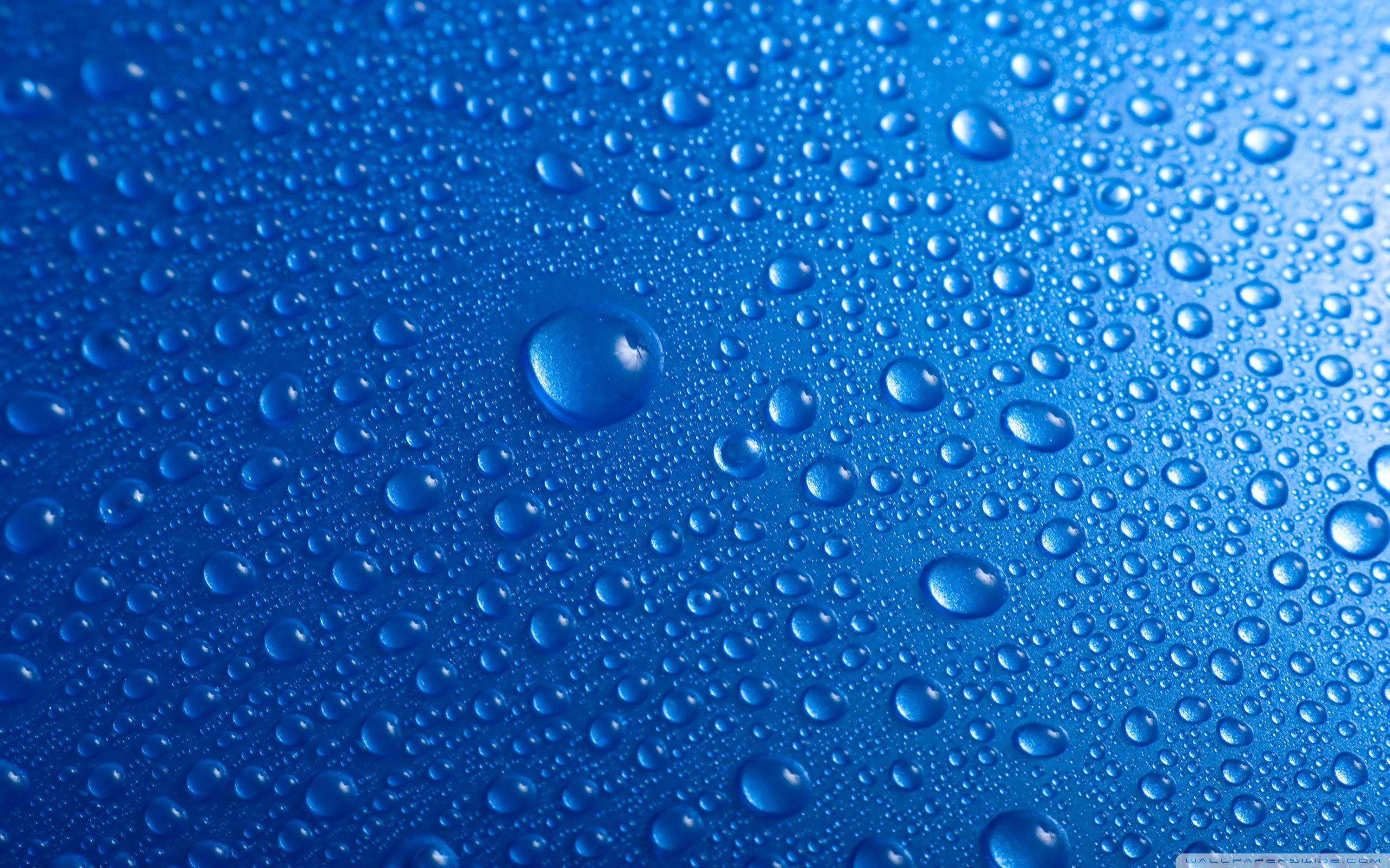 Gocce d'acqua su superficie blu, 2560x1600 2K, Desktop