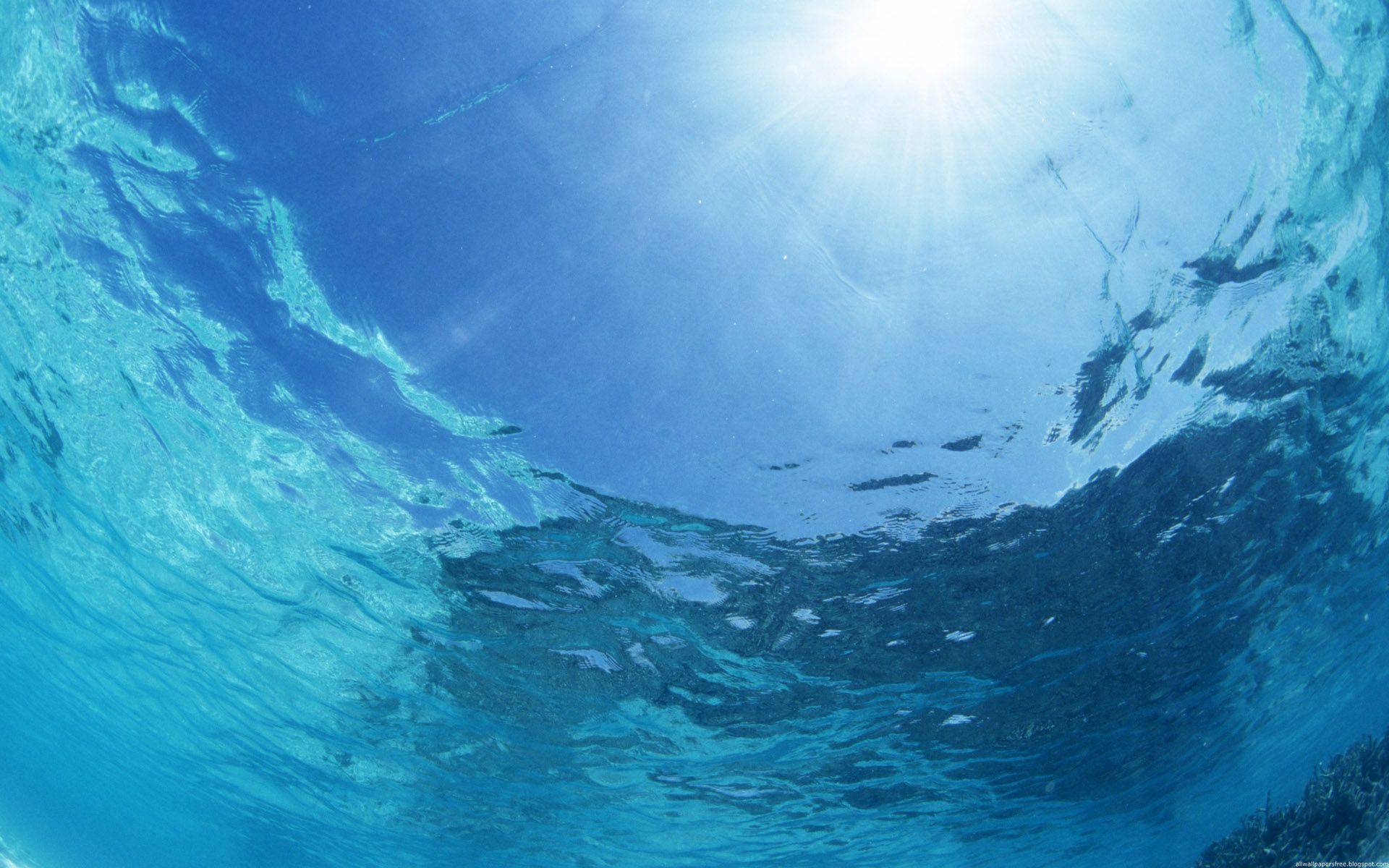 Vista subacquea acqua blu, 1920x1200 WUXGA, PC