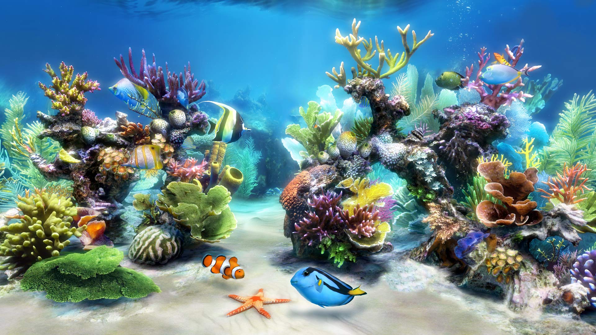 Acquario virtuale con pesci tropicali, 1920x1080 1080p, Acer Nitro