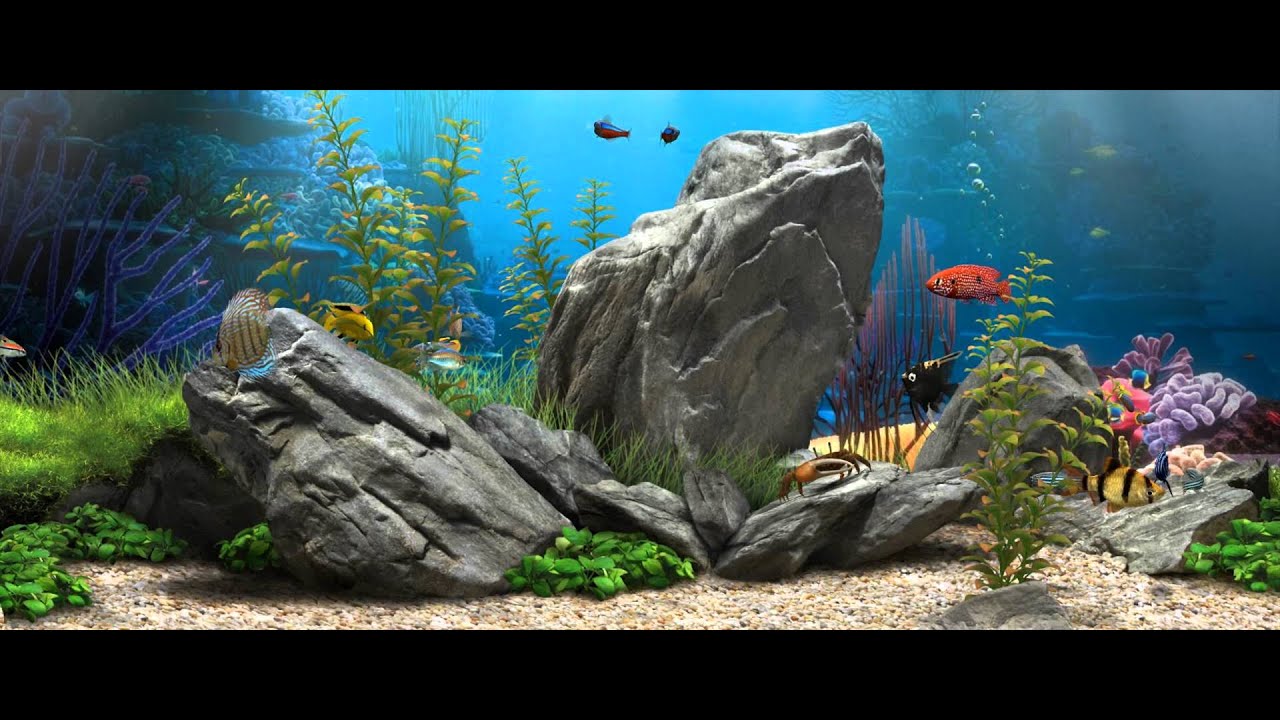 Acquario 3D con pesci colorati, 1280x720 720p, Dell XPS