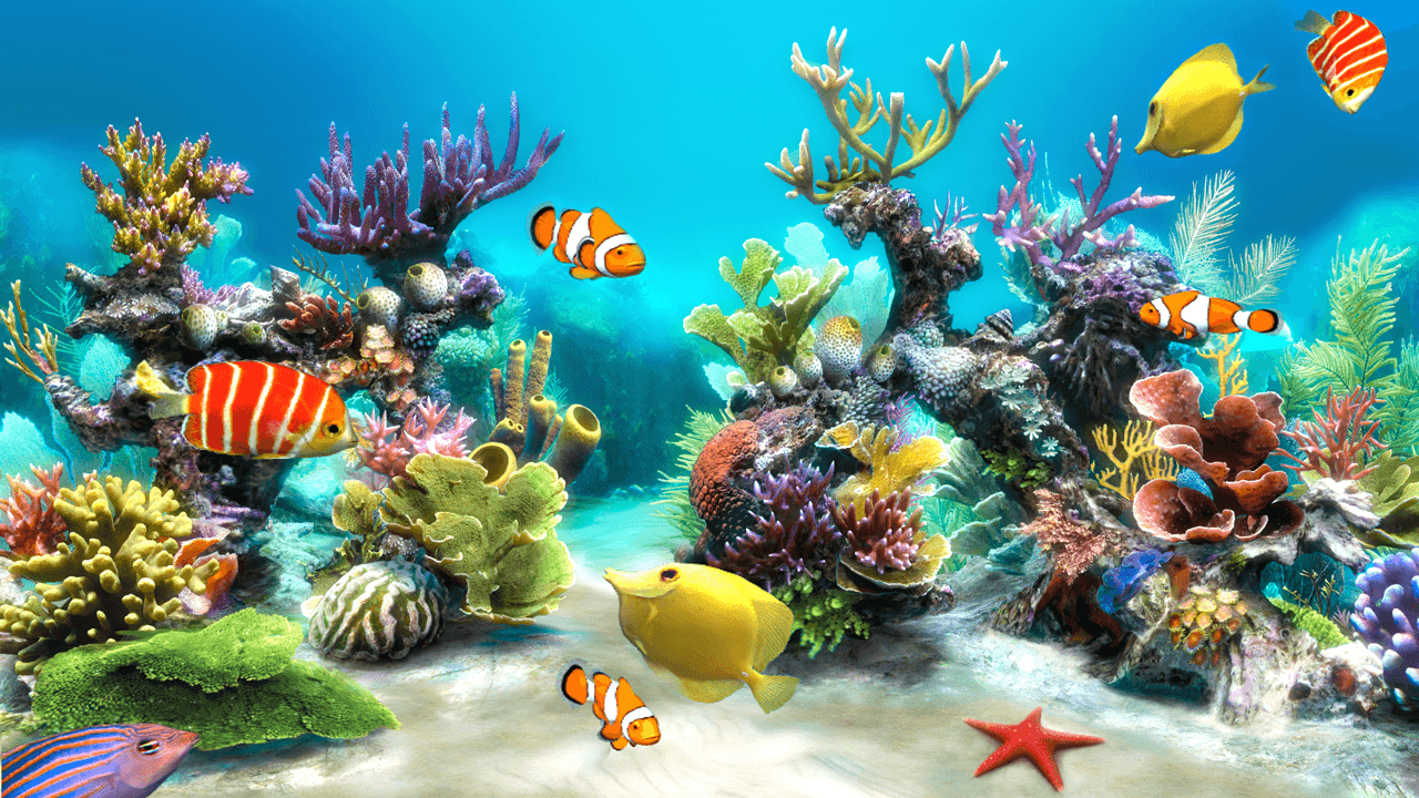 Acquario tropicale con pesci colorati, 1280x720 HD, Laptop