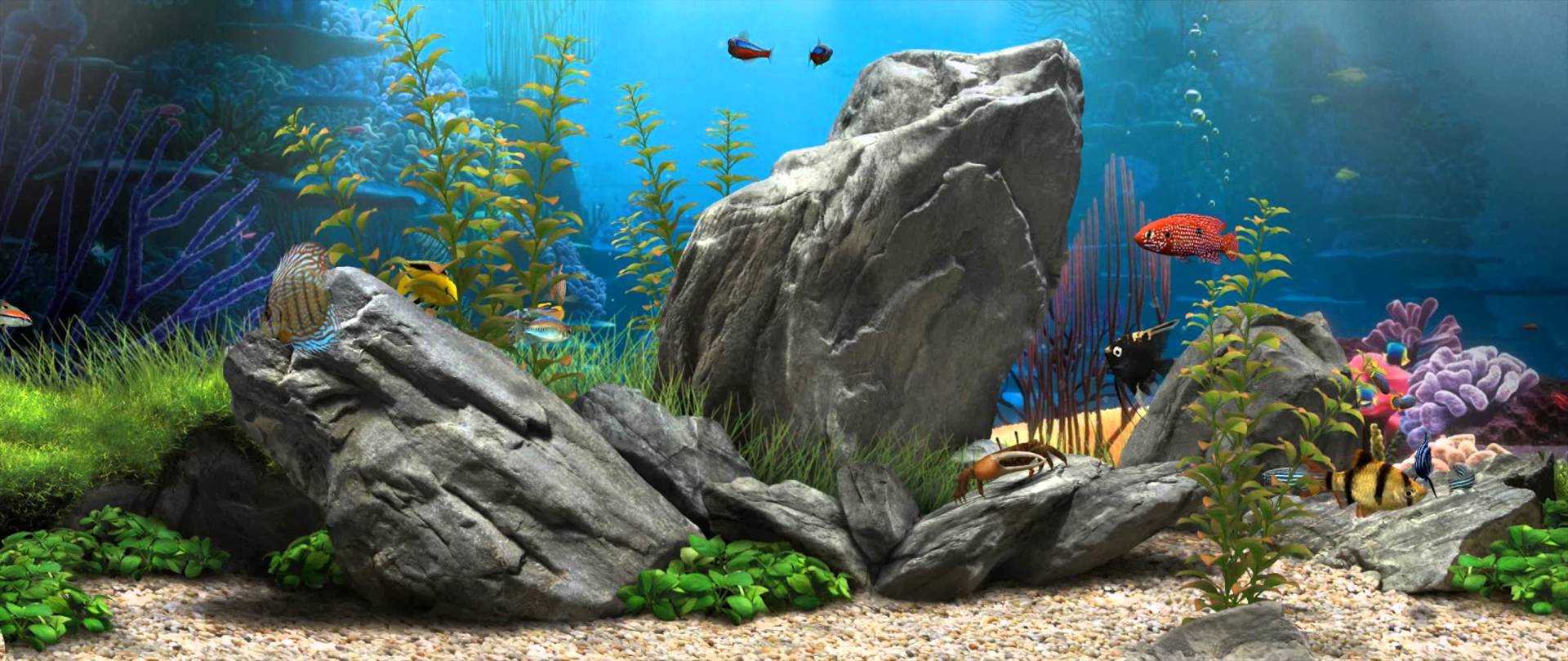 Acquario con rocce e pesci, 1920x810 Ultrawide, Lenovo Legion