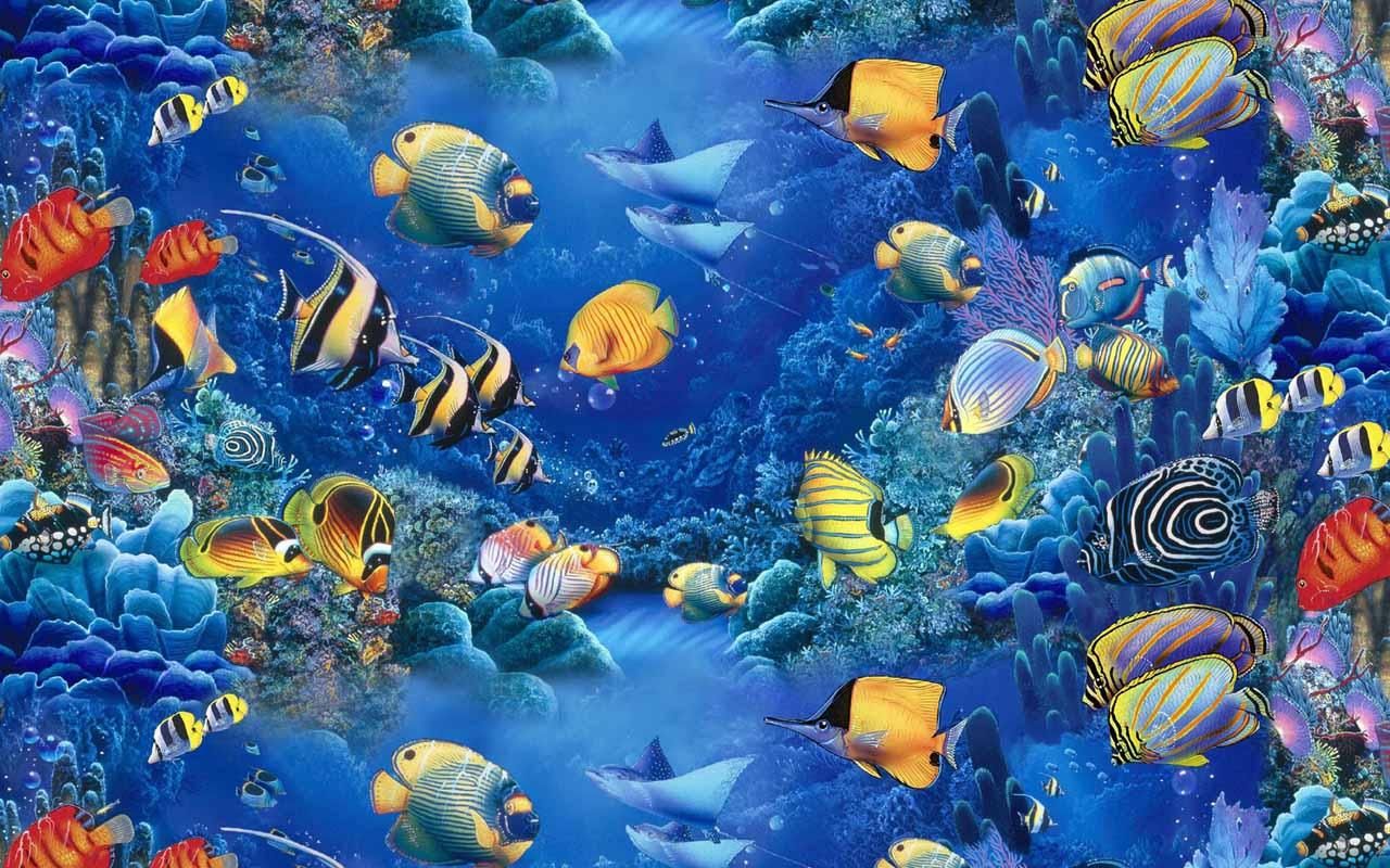 Pesci tropicali colorati oceano, 1280x800 HD, Acer Nitro