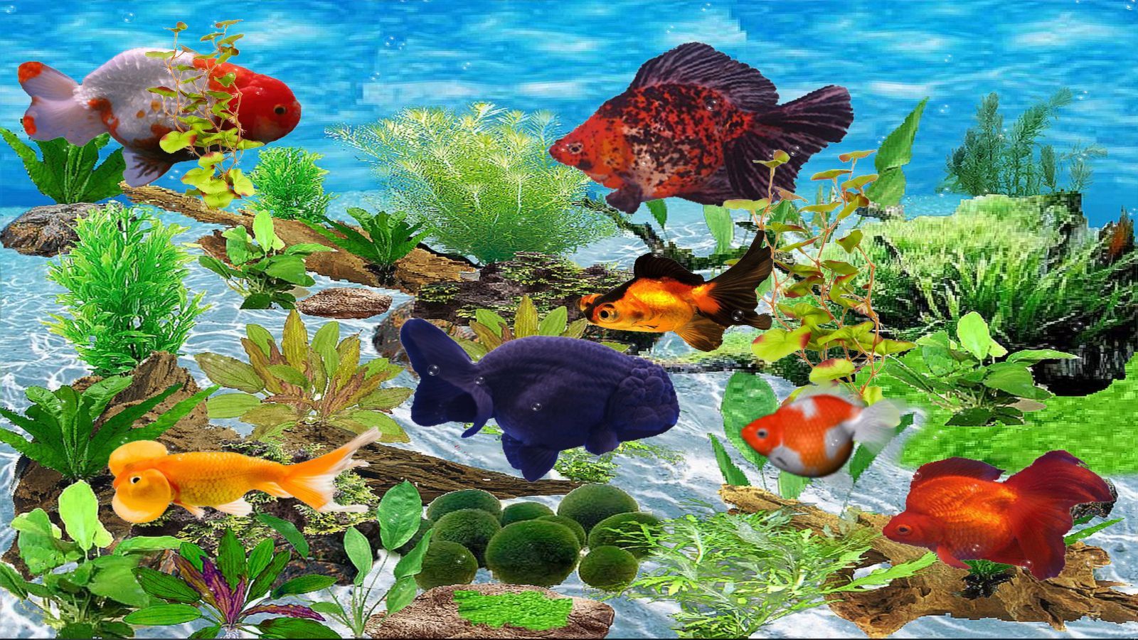Acquario piante acquatiche illuminato, 1024x768 HD, Acer Nitro