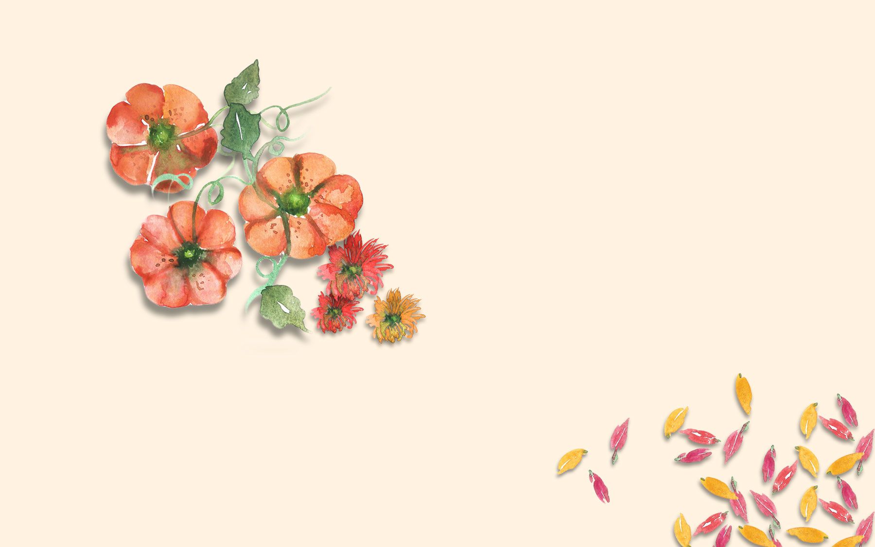 Fiori acquerello rose e giacinti, 1336x828 HD, Desktop