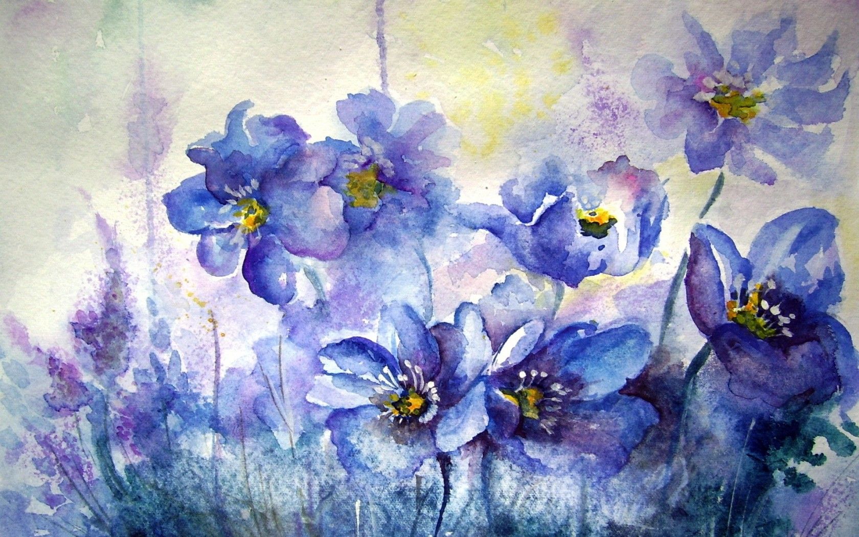 Fiori blu ad acquerello, 1680x1050 900p, Desktop