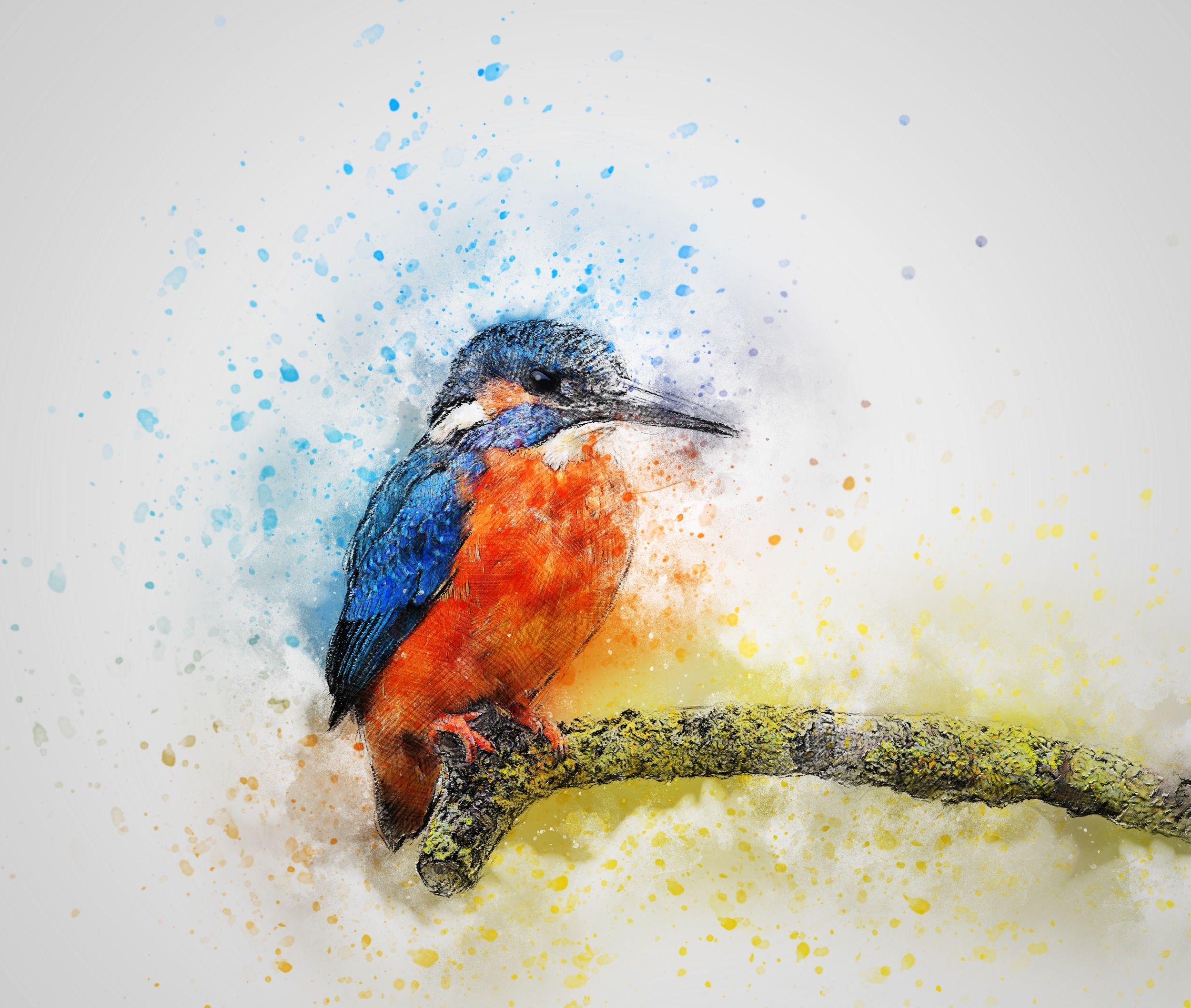 Martin pescatore acquerello colorato, 2500x2117 Hi-Res, PC
