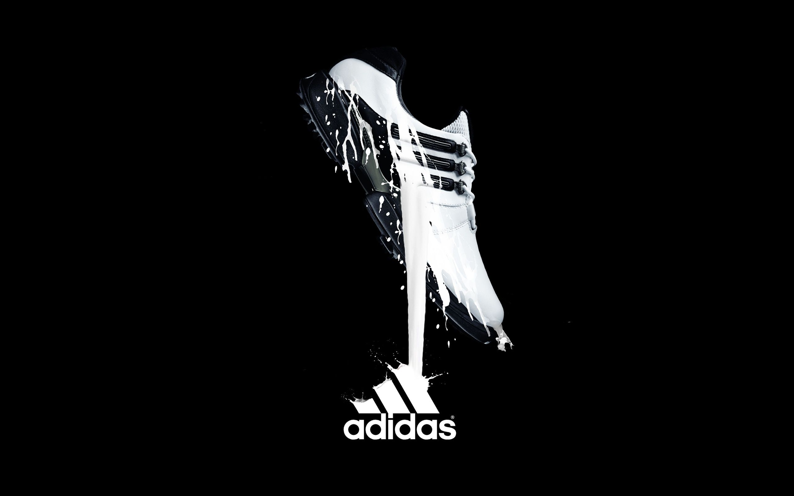 Scarpa Adidas bianca e nera, 2560x1600 2K, PC
