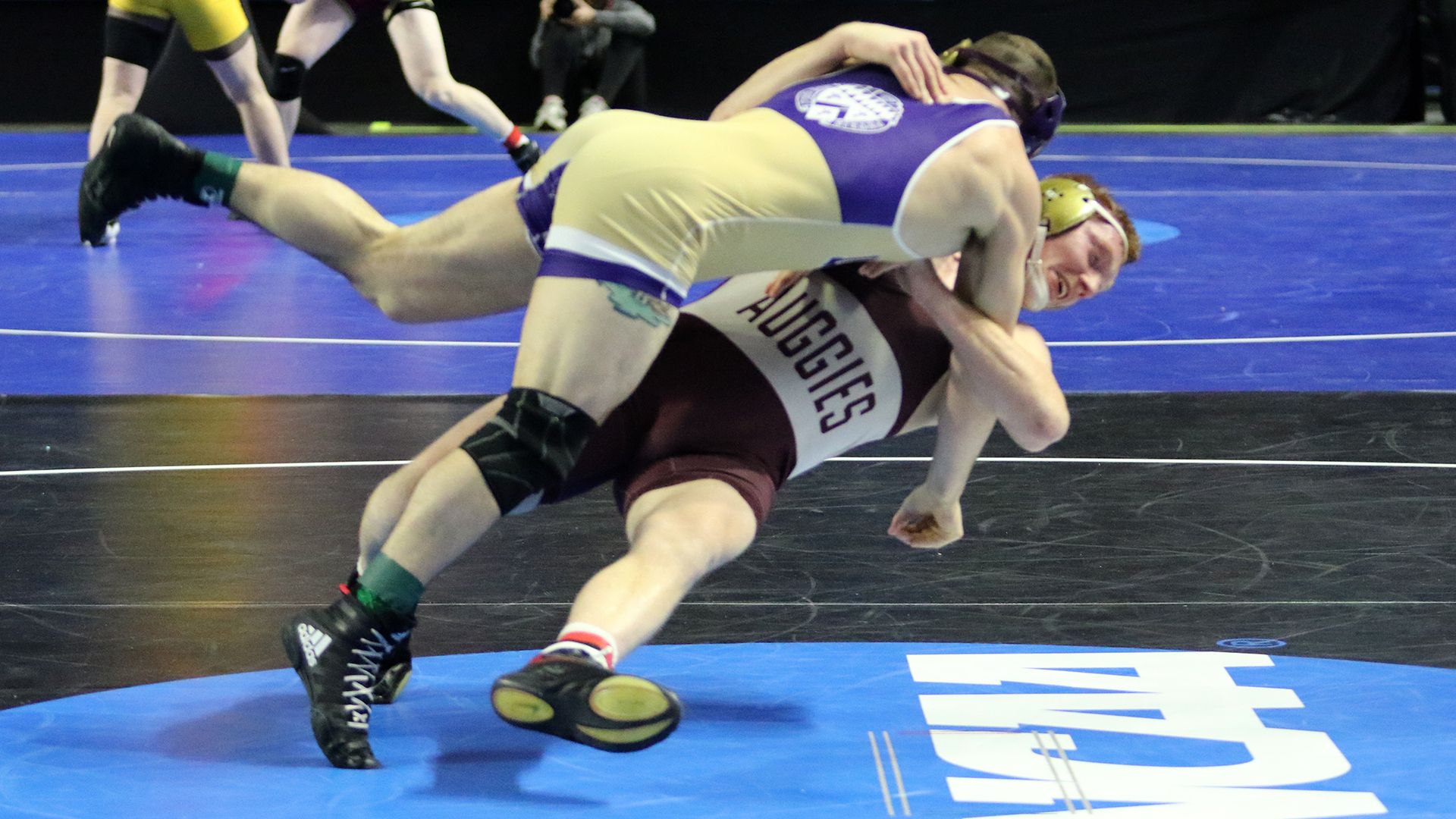 Lottatori Adidas incontro wrestling, 1600x900 HD, PC