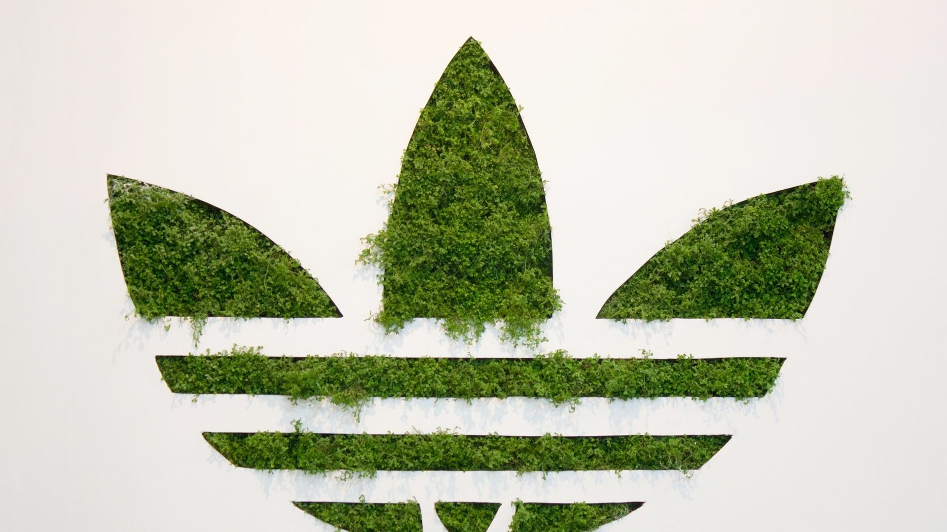 Logo Adidas muschio verde, 1920x1080 Full HD, Notebook