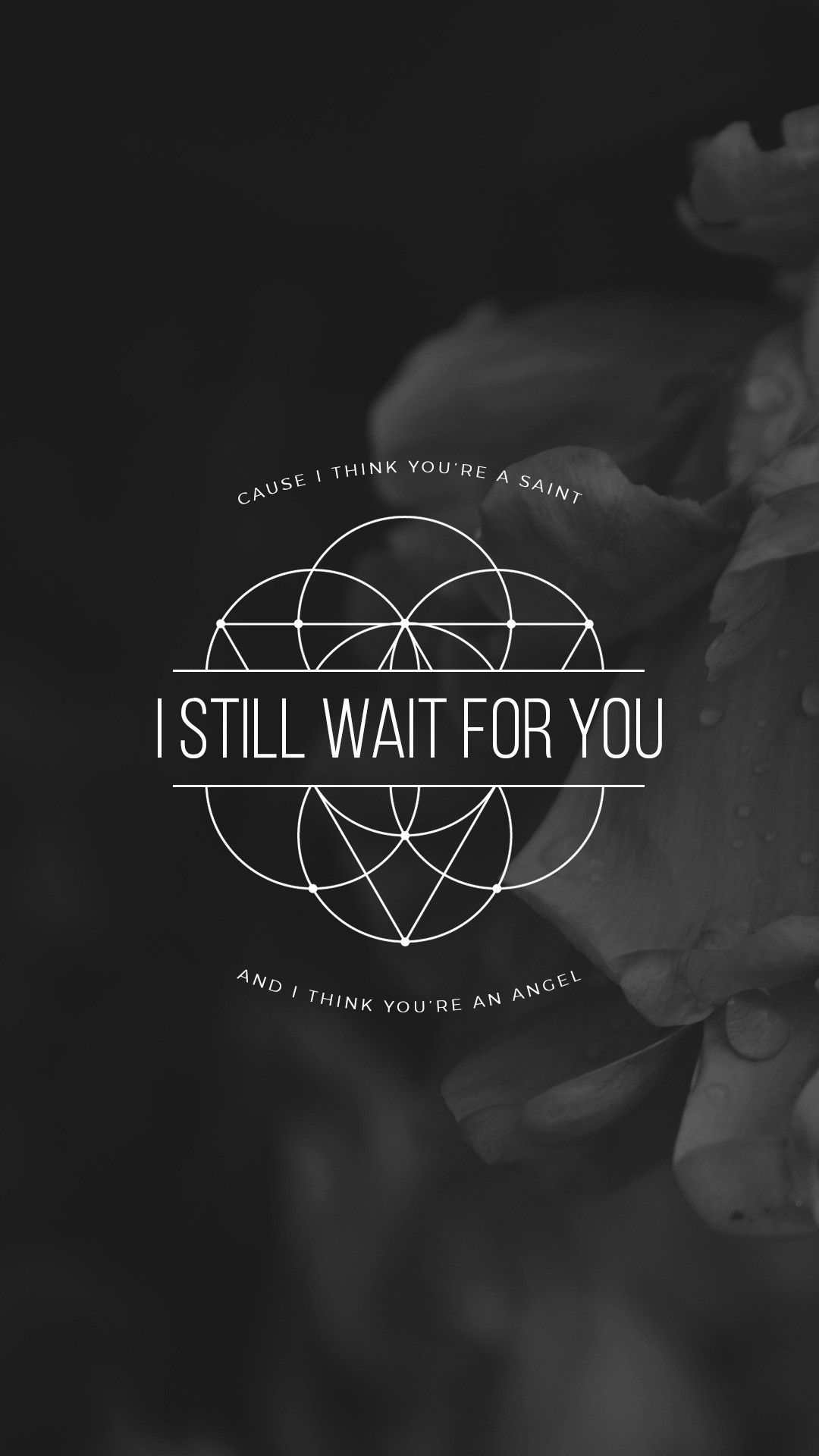 Testo lyrics Pvris scuro, 1080x1920 Verticale, Mobile