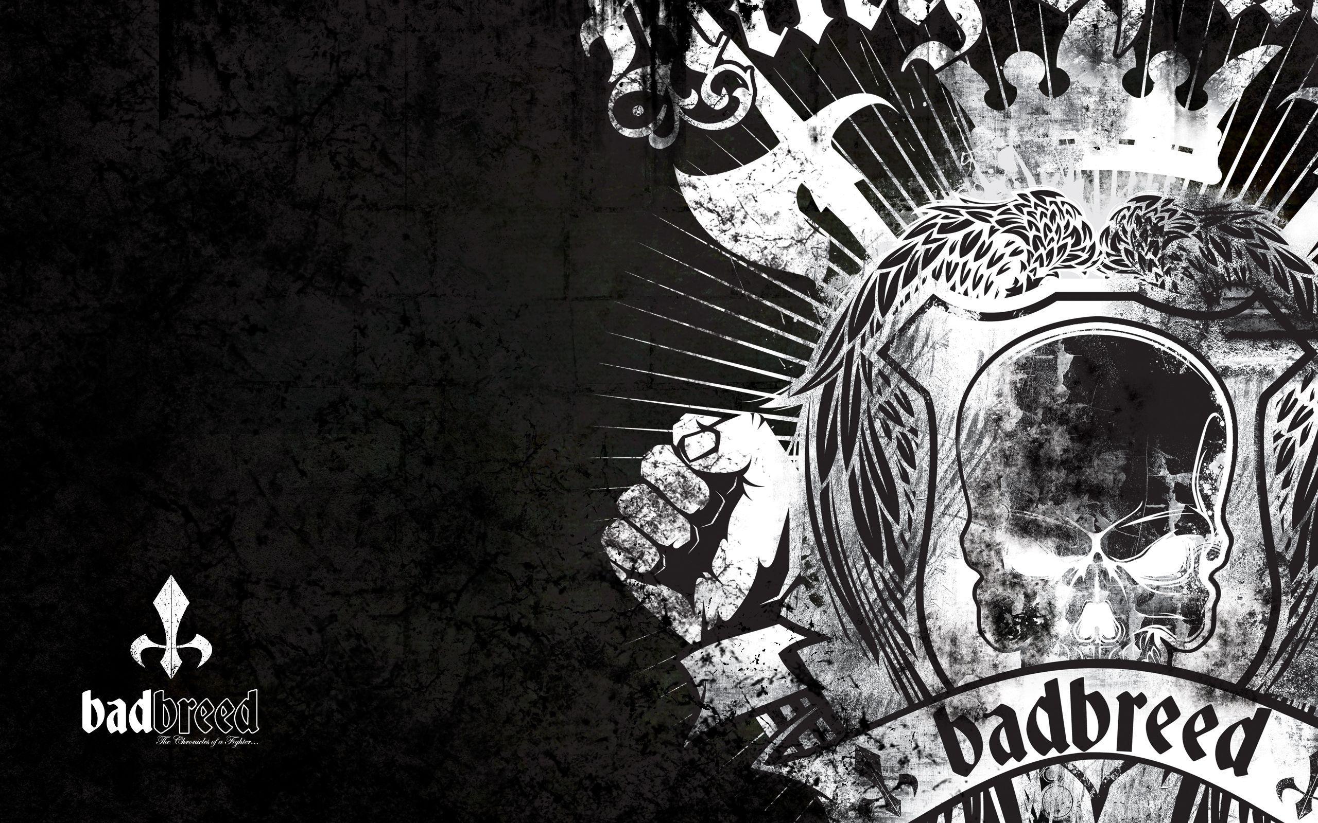 Badbreed logo teschio nero, 2560x1600 2K, PC