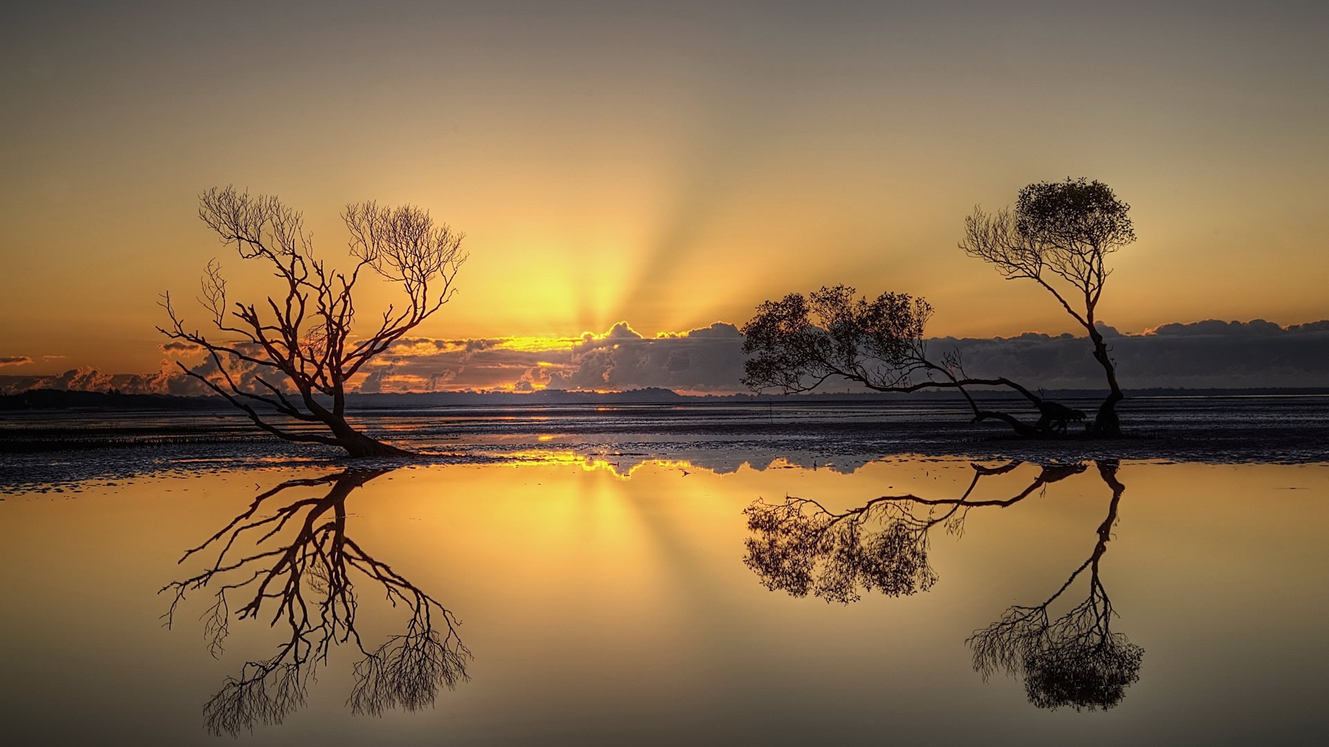 Alberi tramonto riflesso acqua, 1920x1080 1080p, Laptop