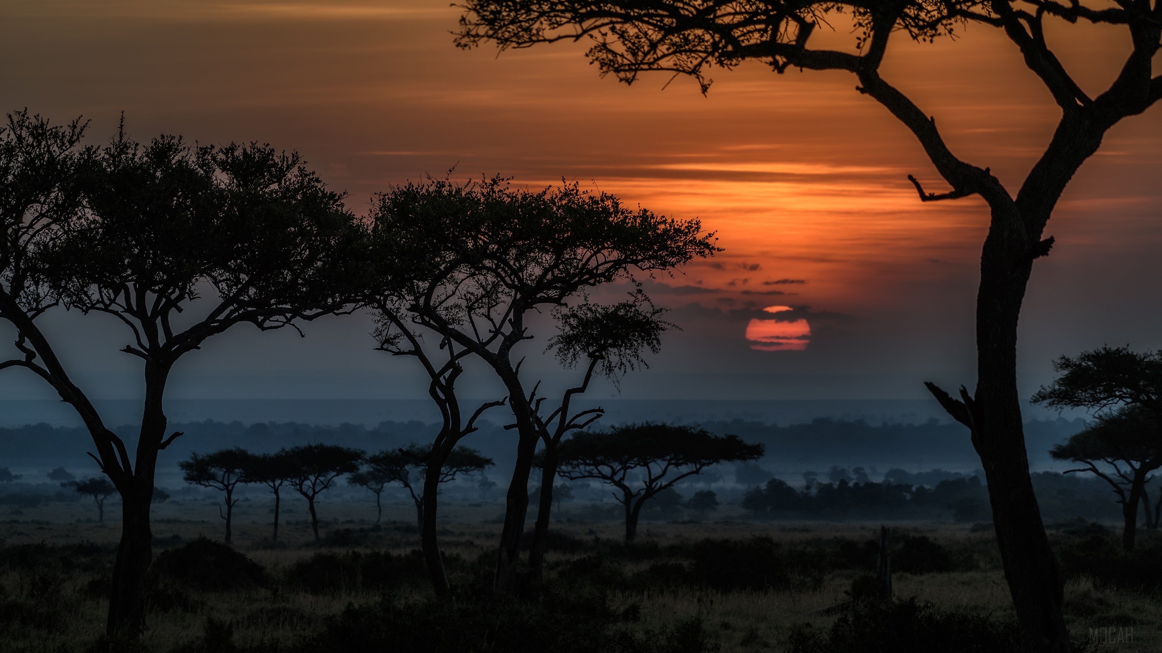 Alba savana africana con acacie, 3840x2160 Ultra HD, 4K TV