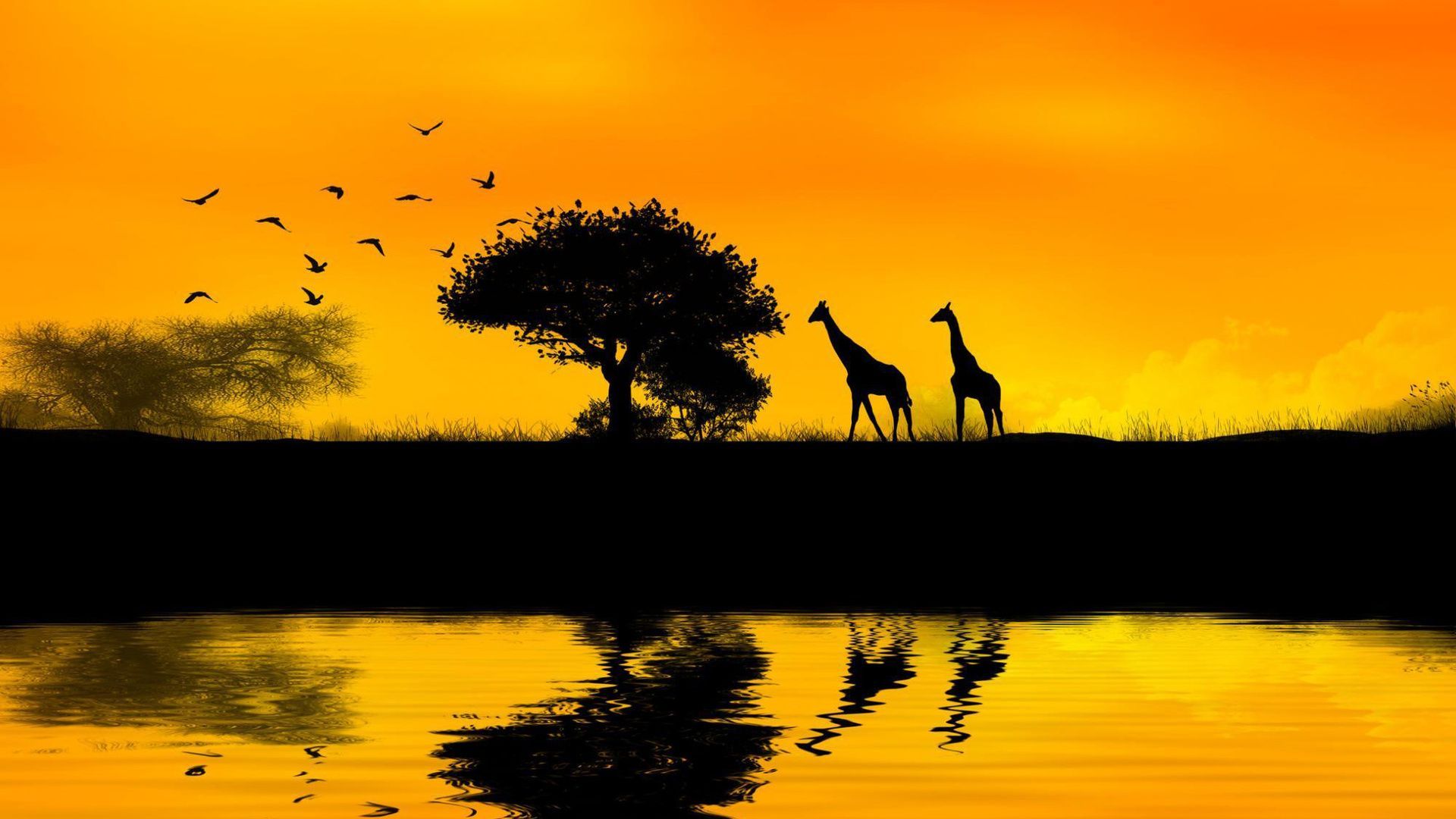 Giraffe silhouette tramonto africano, 1920x1080 1080p, Desktop