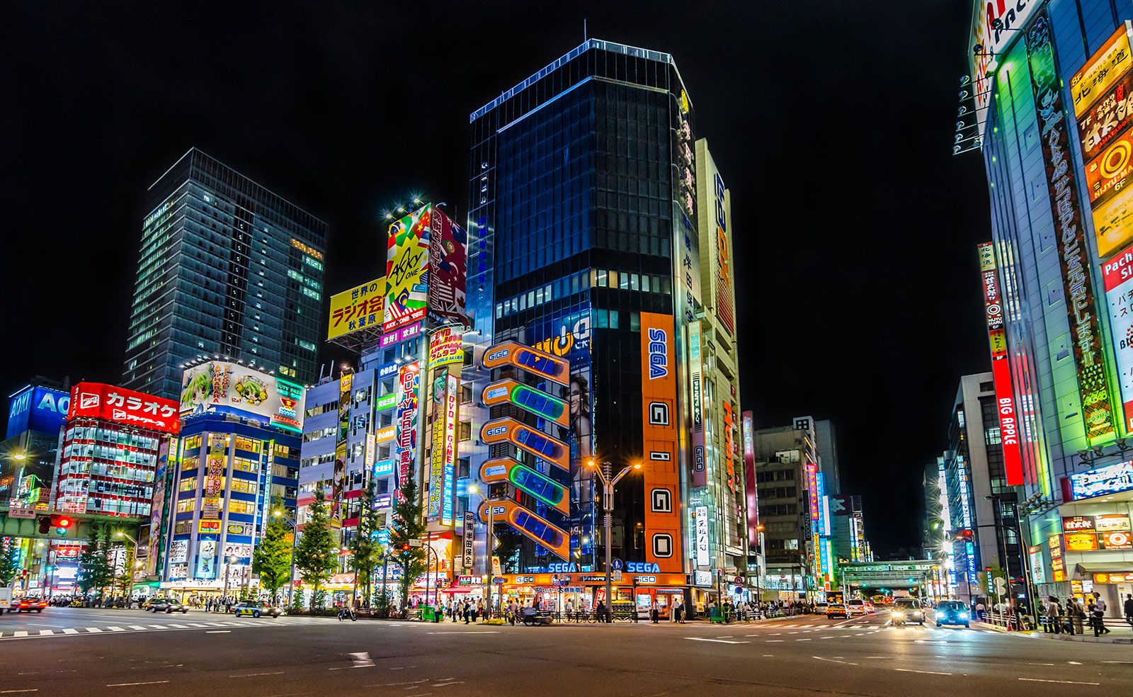 Akihabara notturna insegne colorate, 1600x984 HD, PC