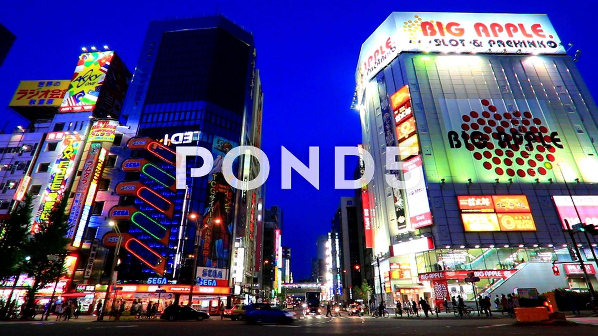 Akihabara insegne neon notturne, 1920x1080 Full HD 1080p, Desktop