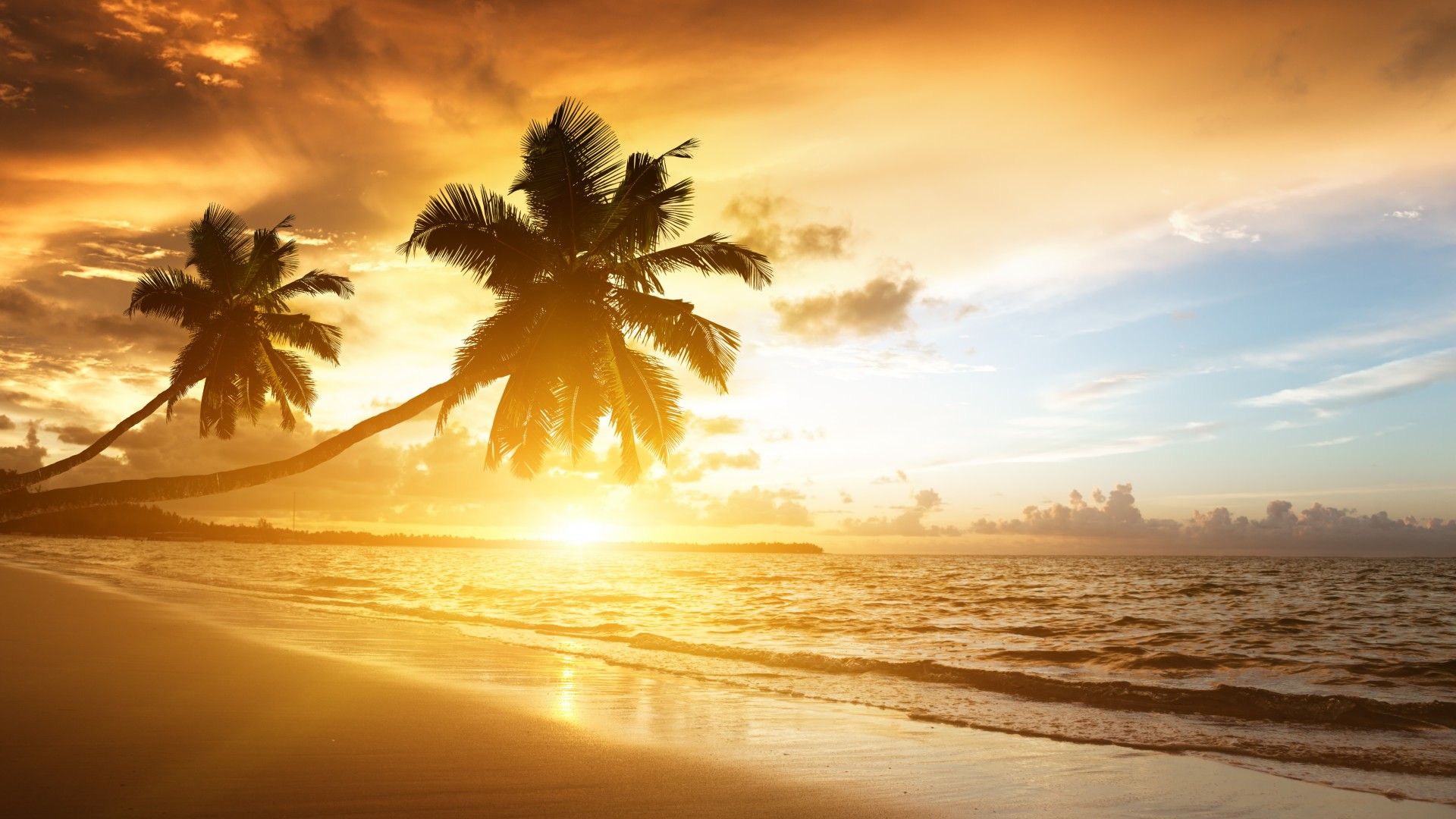 Alba tropicale con palme, 1920x1080 Full HD, Desktop