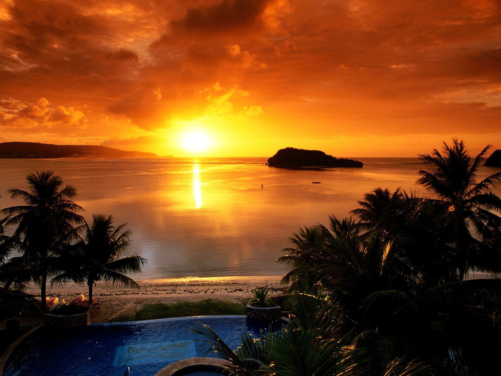 Alba tropicale con palme e isola, 1600x1200 HD Ready, Notebook Gaming