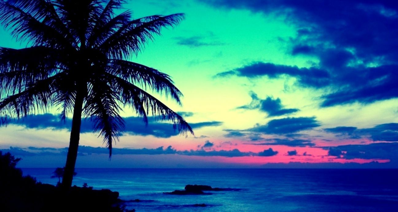 Alba tropicale con palma, 1297x693 HD, Desktop