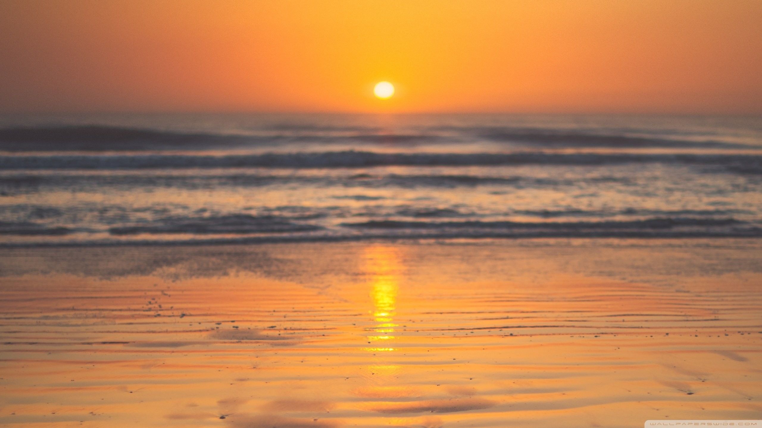 Alba sul mare, spiaggia, 2560x1440 2K QHD, Monitor Gaming