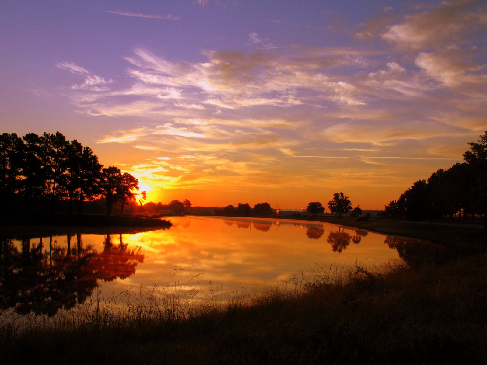 Alba su lago con alberi, 1600x1200 HD Ready, Laptop