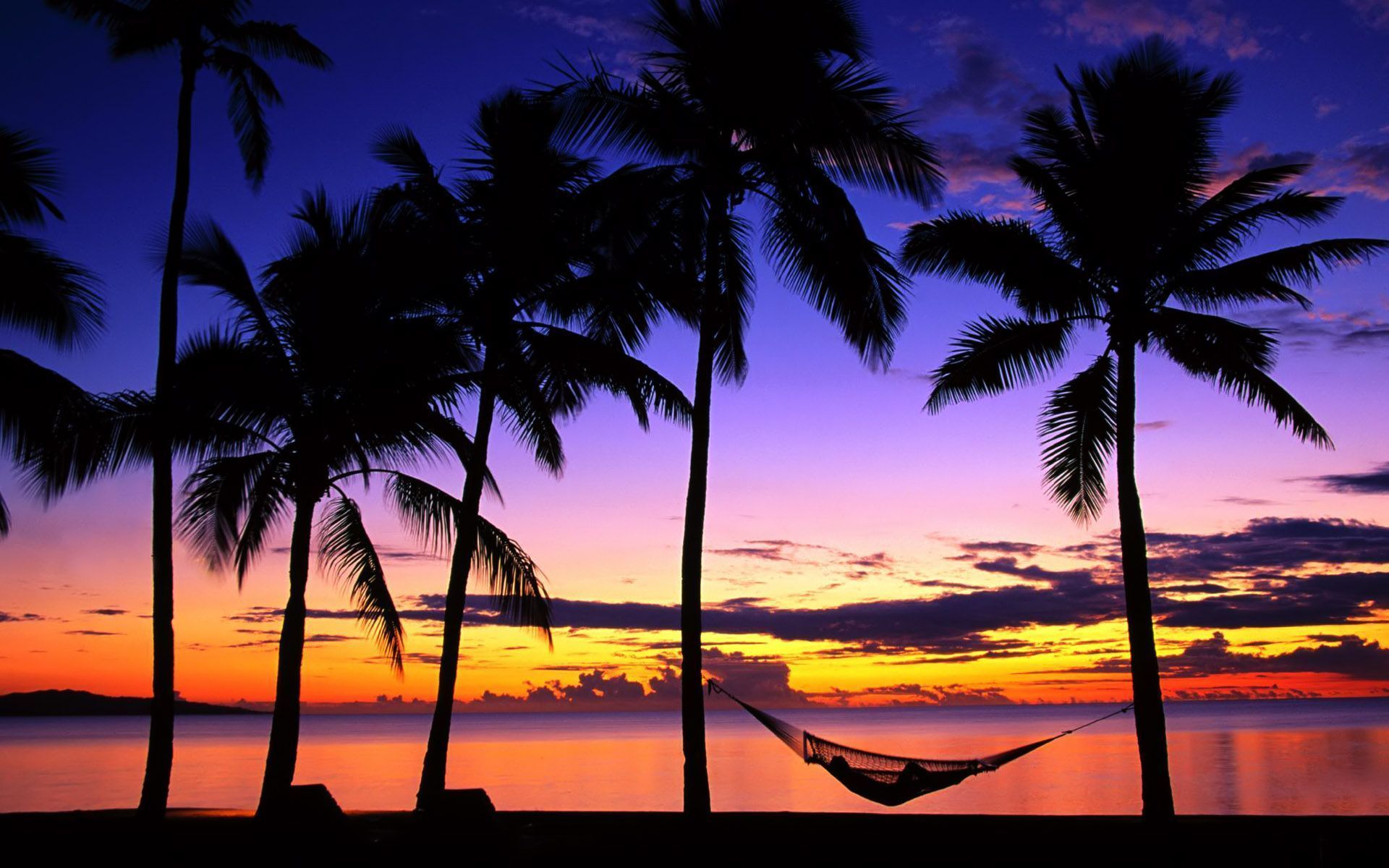 Alba tropicale con palme e amaca, 1920x1200 Full HD+, Desktop