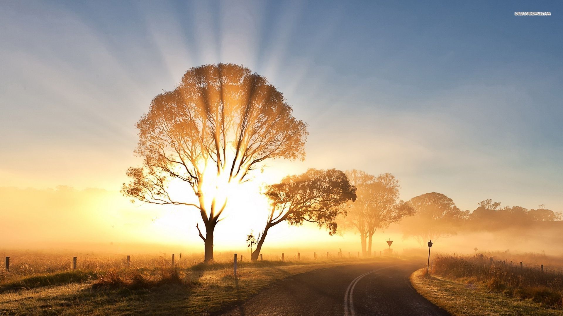 Alba con albero e strada, 1920x1080 Full HD 1080p, PC Desktop