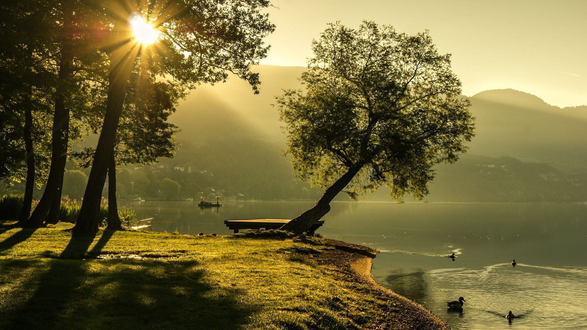 Alba dorata su lago con albero, 1920x1080 Full HD, Laptop
