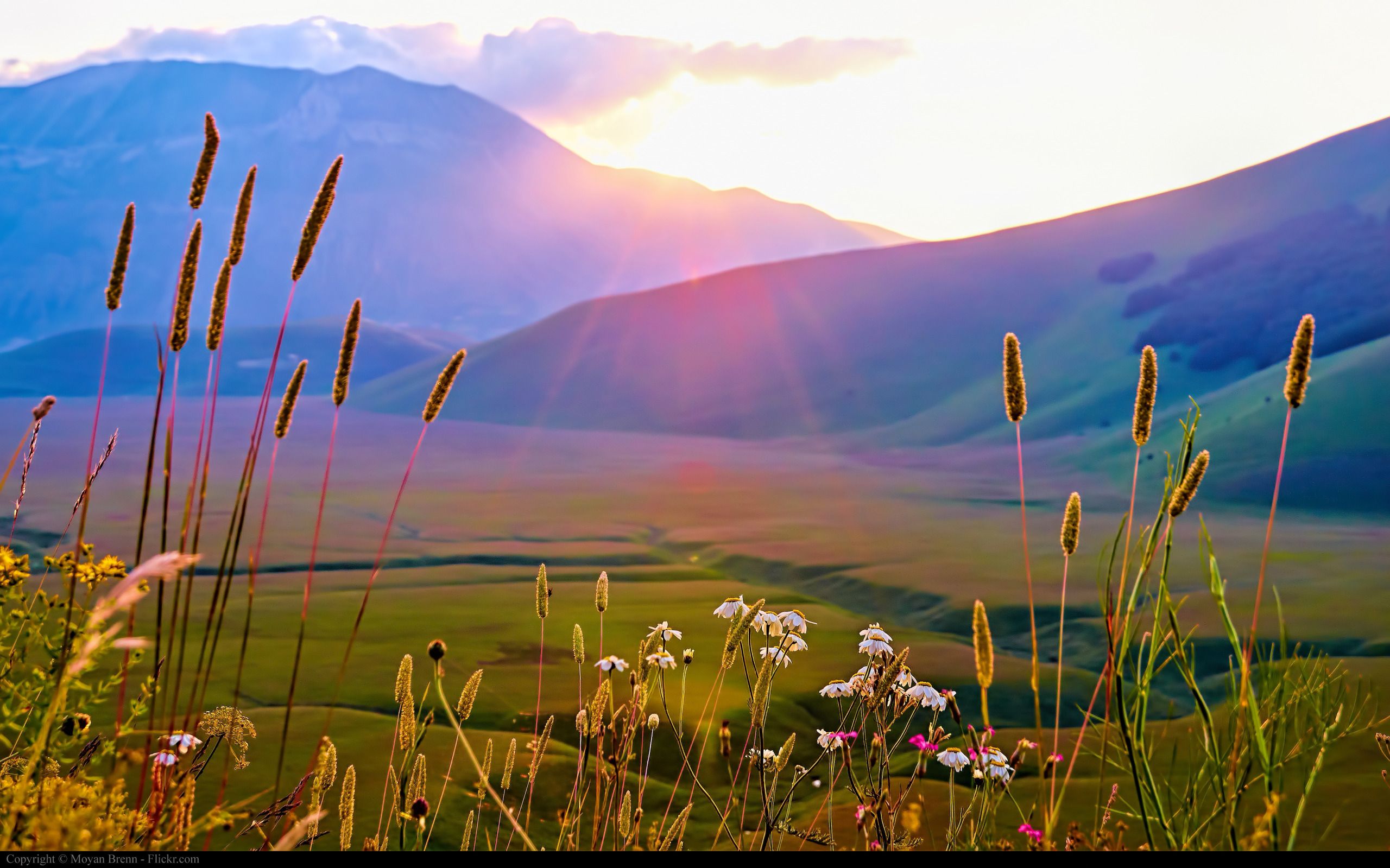 Alba sulla Valle di Castelluccio, 2560x1599 2K QHD, PC