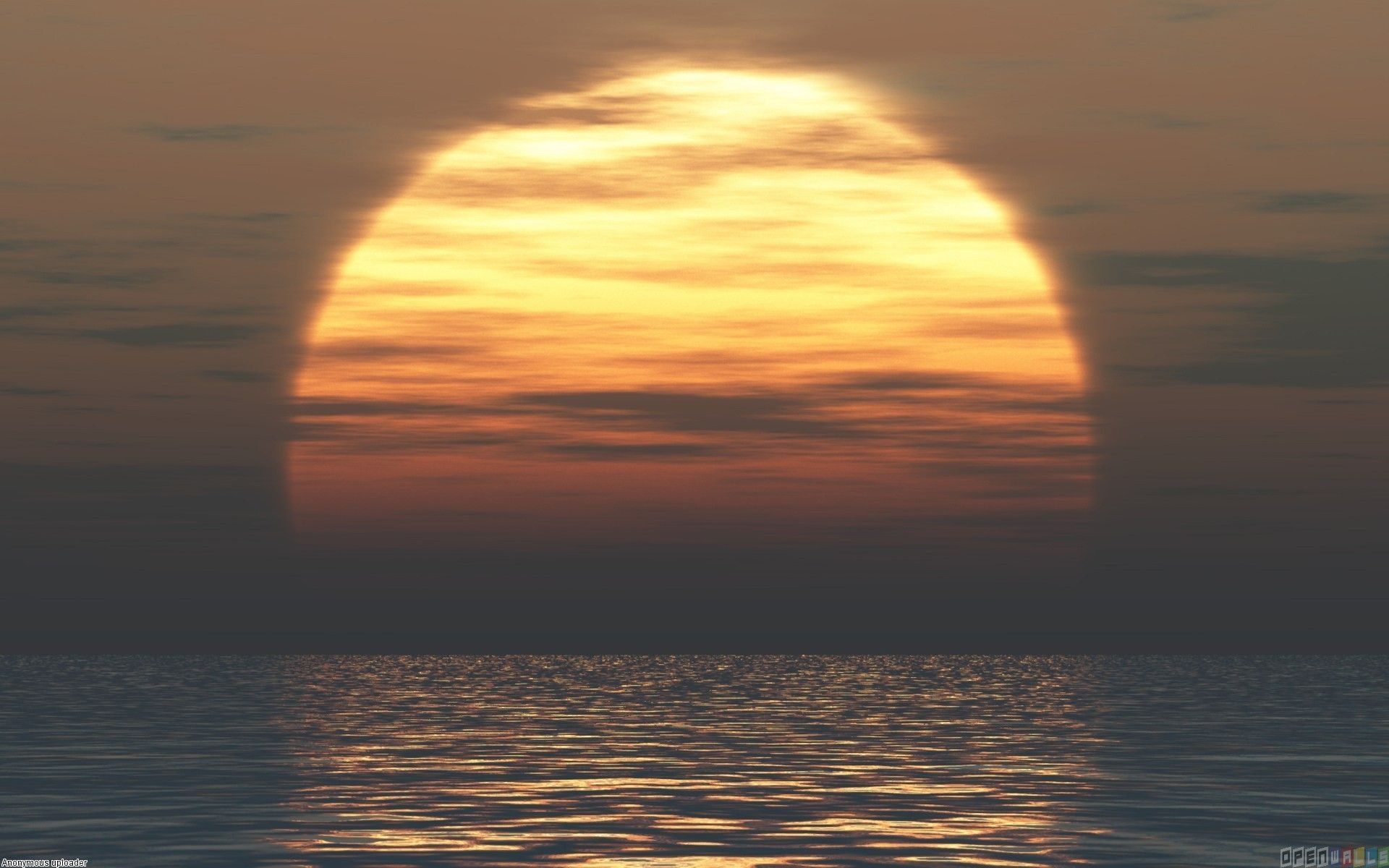 Alba sul lago con fiori, 1504x837 720p, PC
