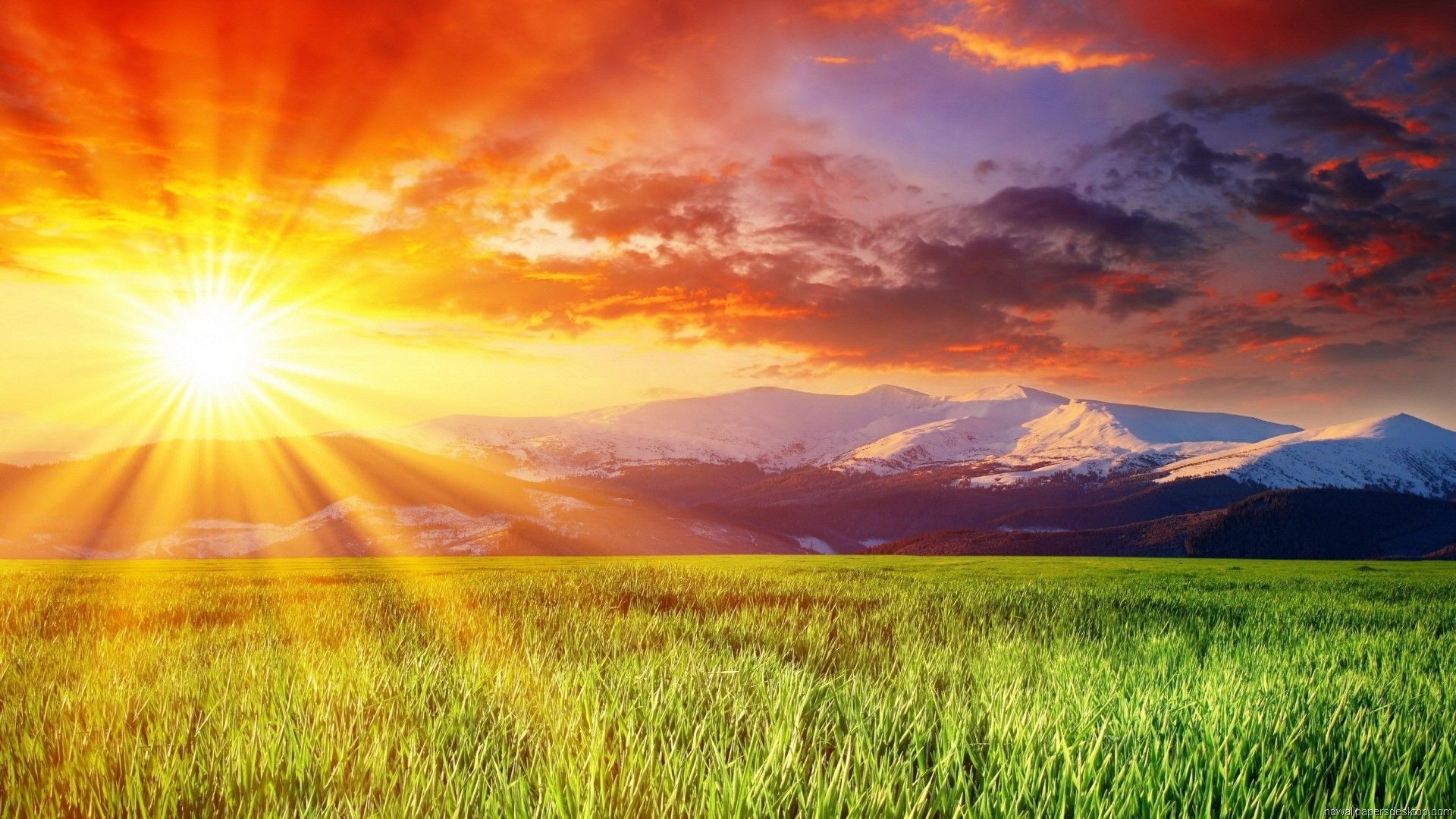 Alba su prato e montagne, 1920x1080 1080p, PC