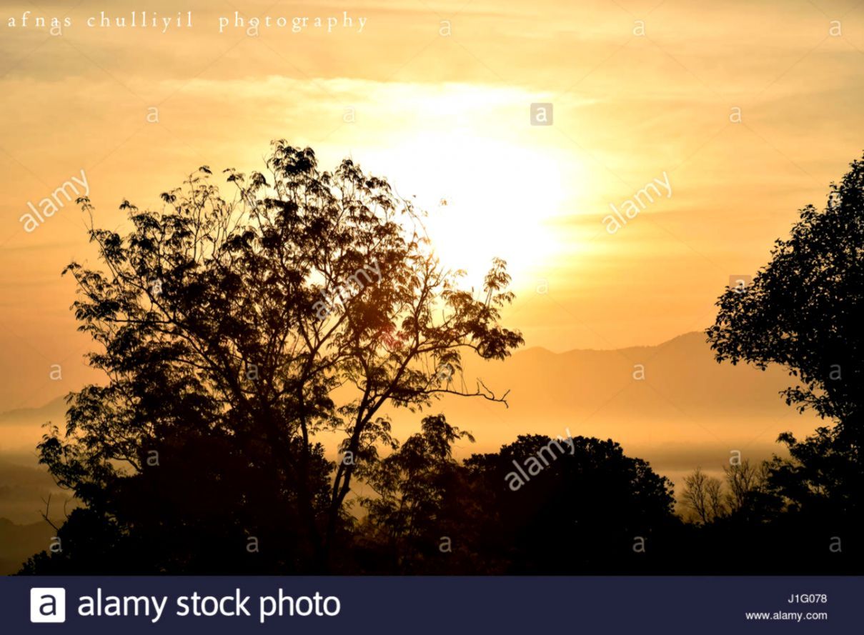 Alba con alberi silhouette, 1920x1080 Full HD, Laptop