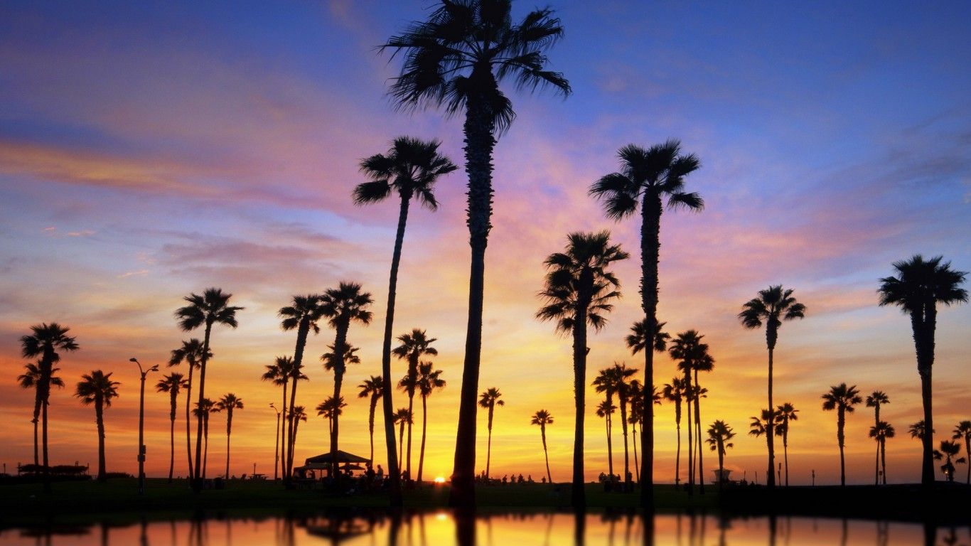 Palme silhouette al tramonto, 1920x1200 WUXGA, Desktop