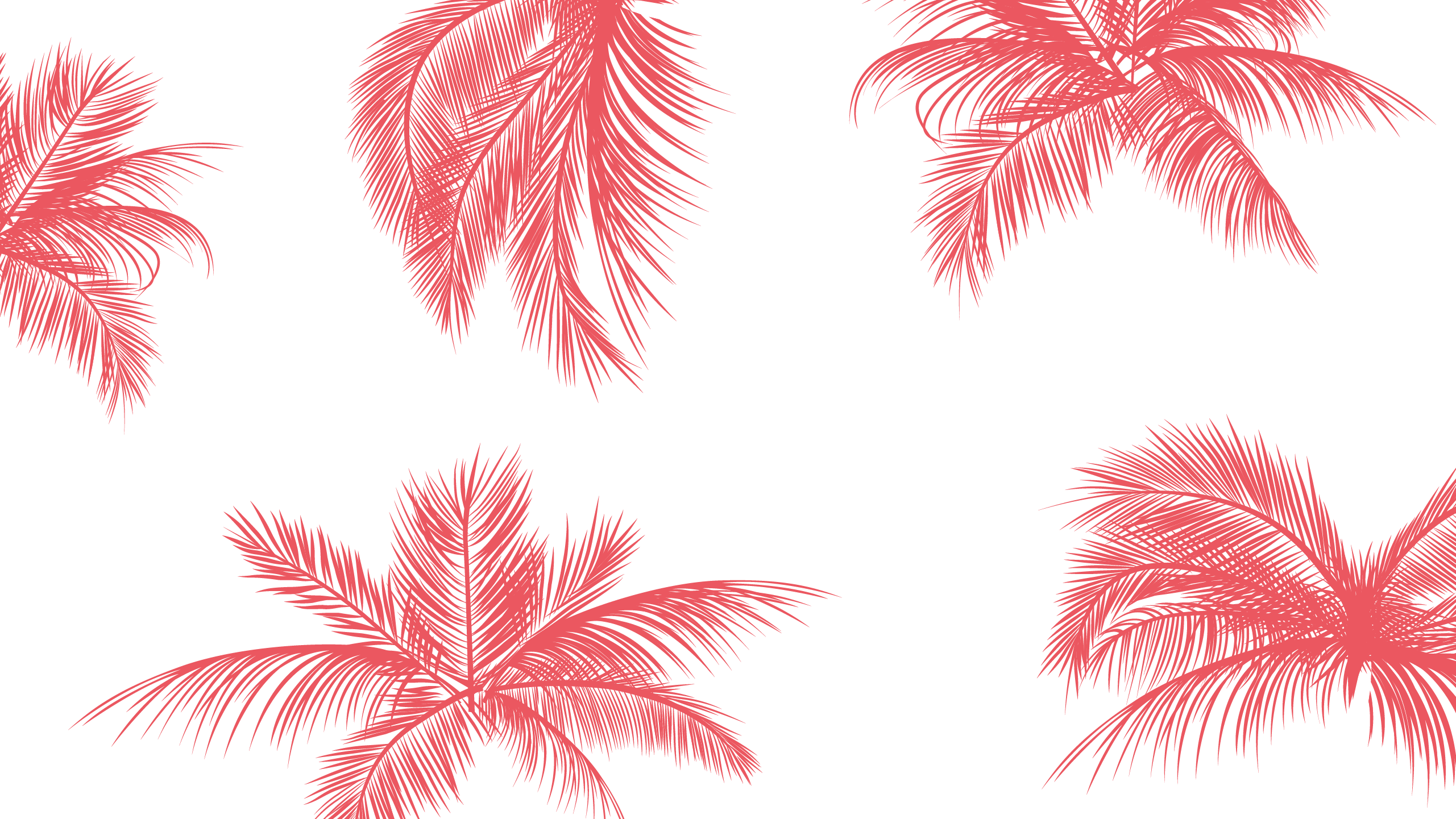 Spiaggia con palme e ombra, 1920x1200 Full HD+ WUXGA, Monitor Gaming