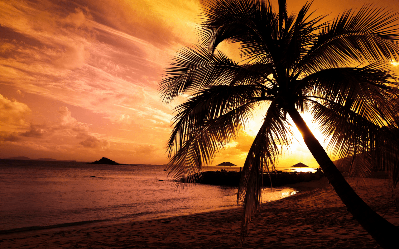 Palme su spiaggia tropicale, 1920x1080 Full HD 1080p, PC