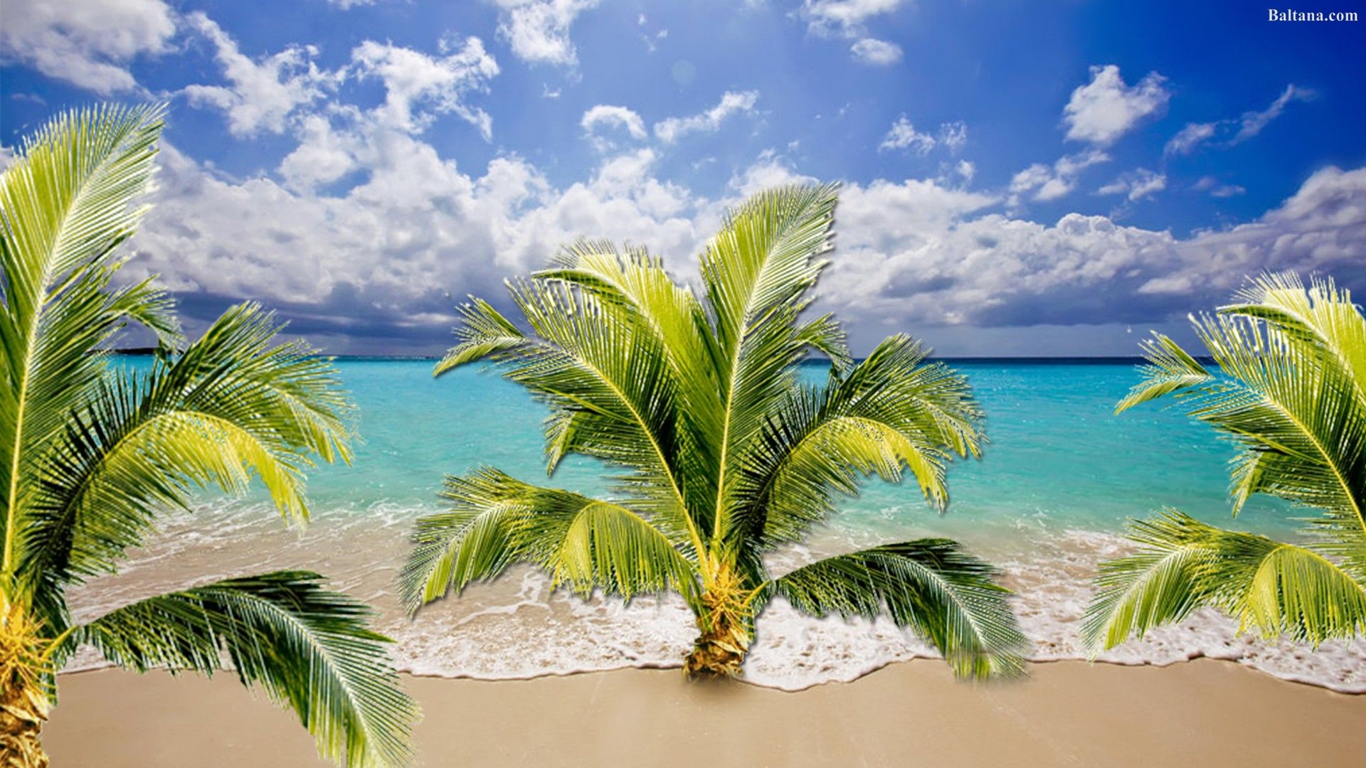 Palme al tramonto sulla spiaggia, 1920x1080 Full HD, Monitor Gaming