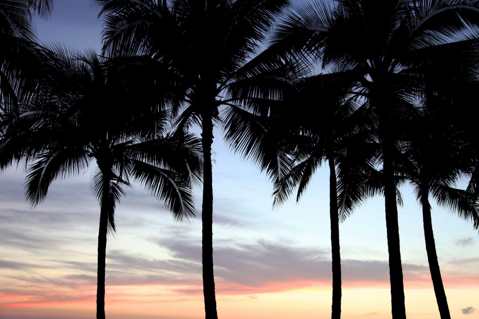 Palme silhouette tramonto spiaggia, 1920x1080 Full HD 1080p, PC Desktop