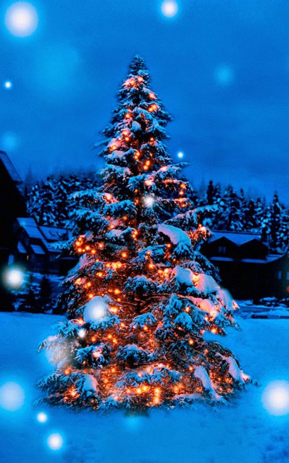 Albero di Natale innevato illuminato, 950x1520 Verticale, Mobile