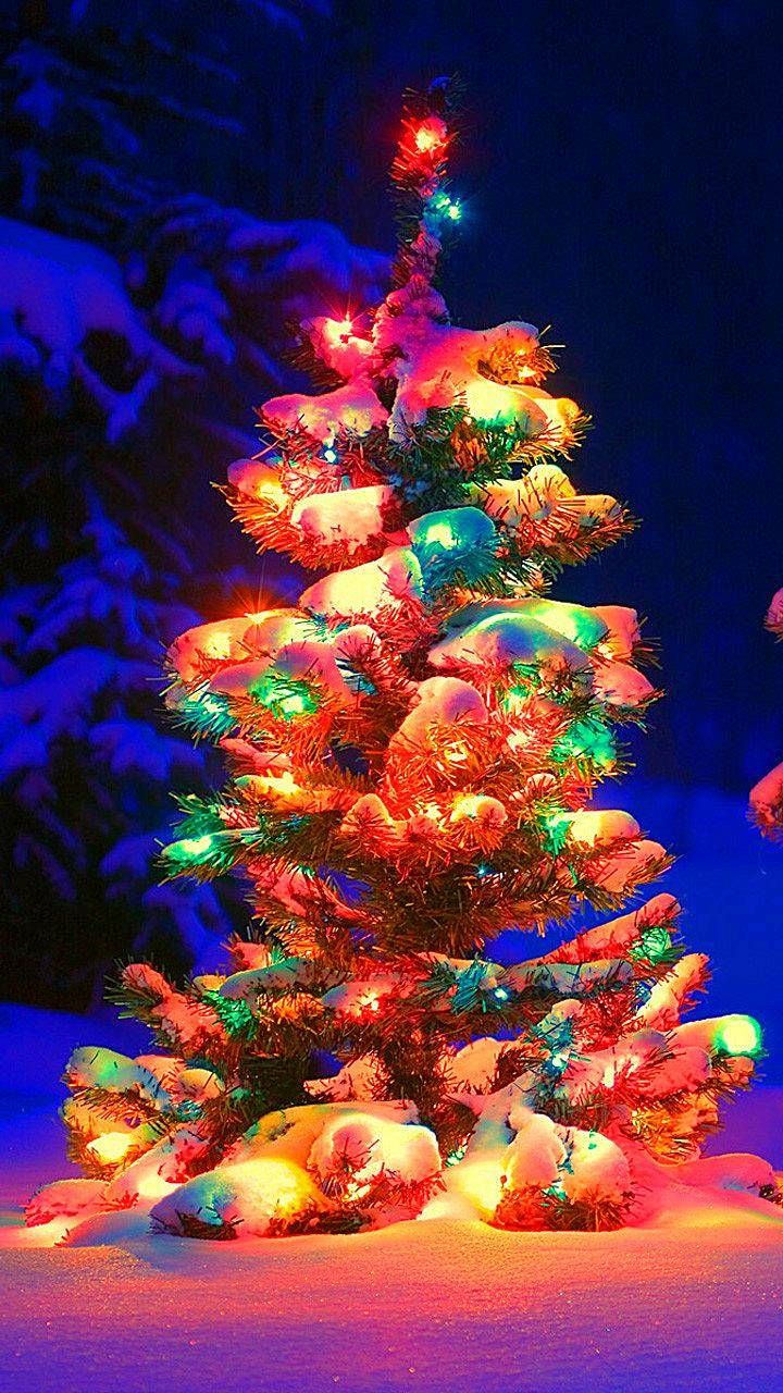 Albero di Natale innevato luci colorate, 720x1280 Full HD Verticale, Smartphone